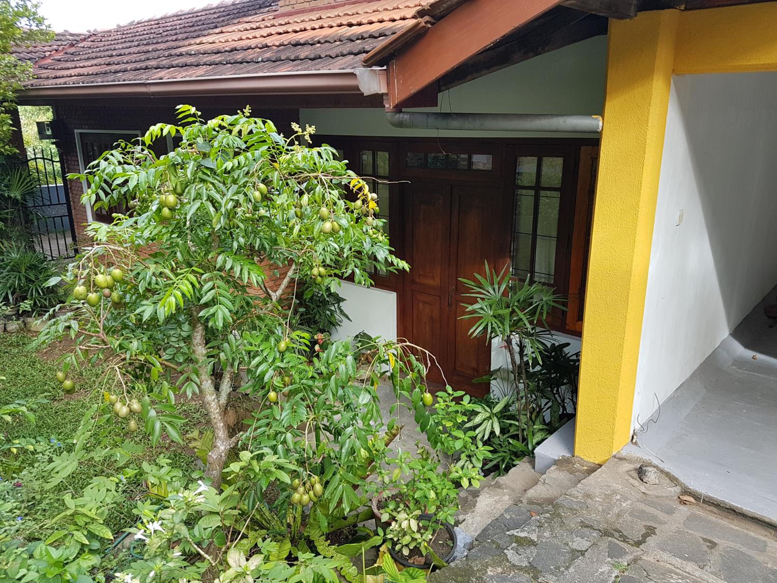 Photo 42