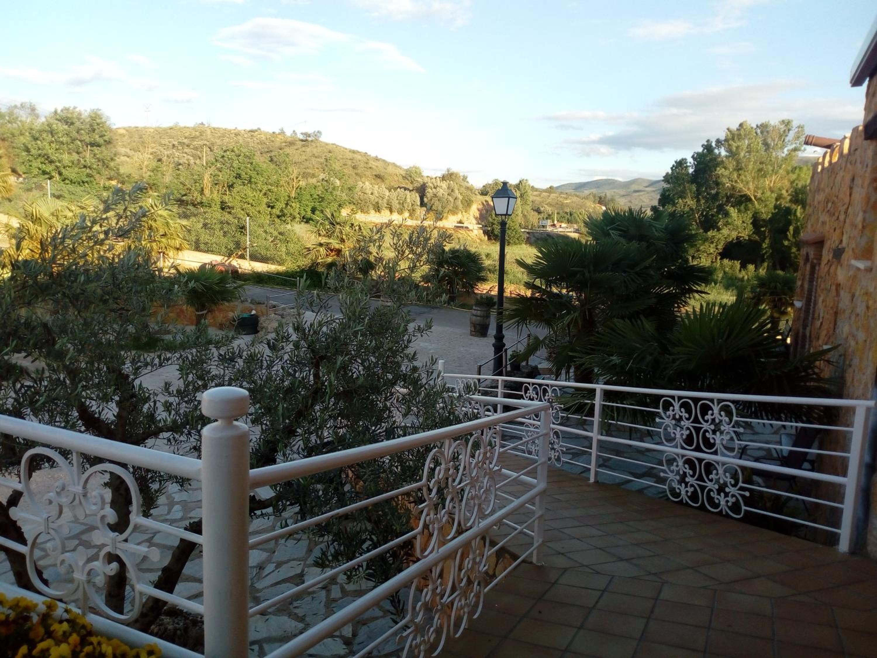 Photo 21