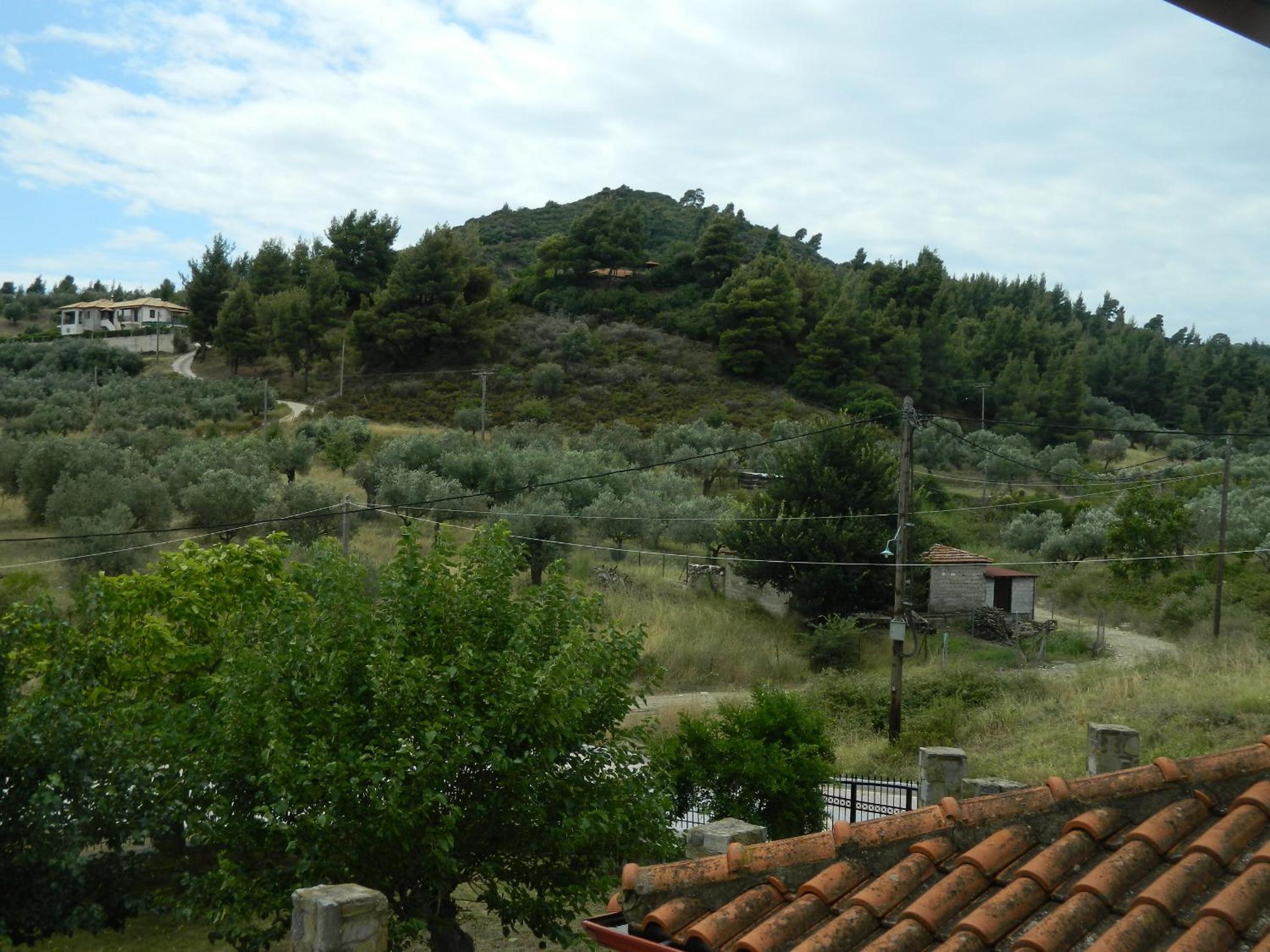 Photo 17