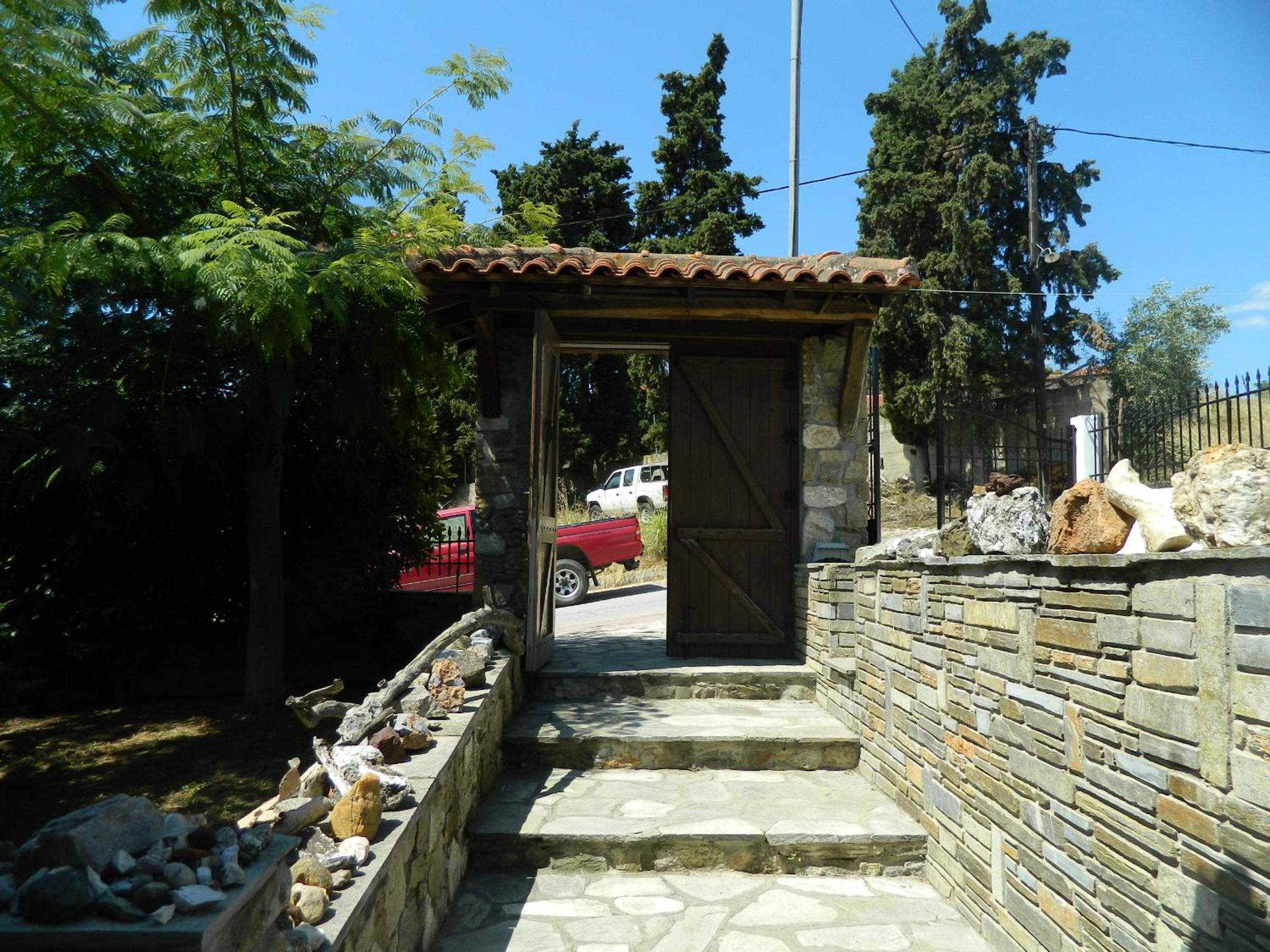 Photo 7