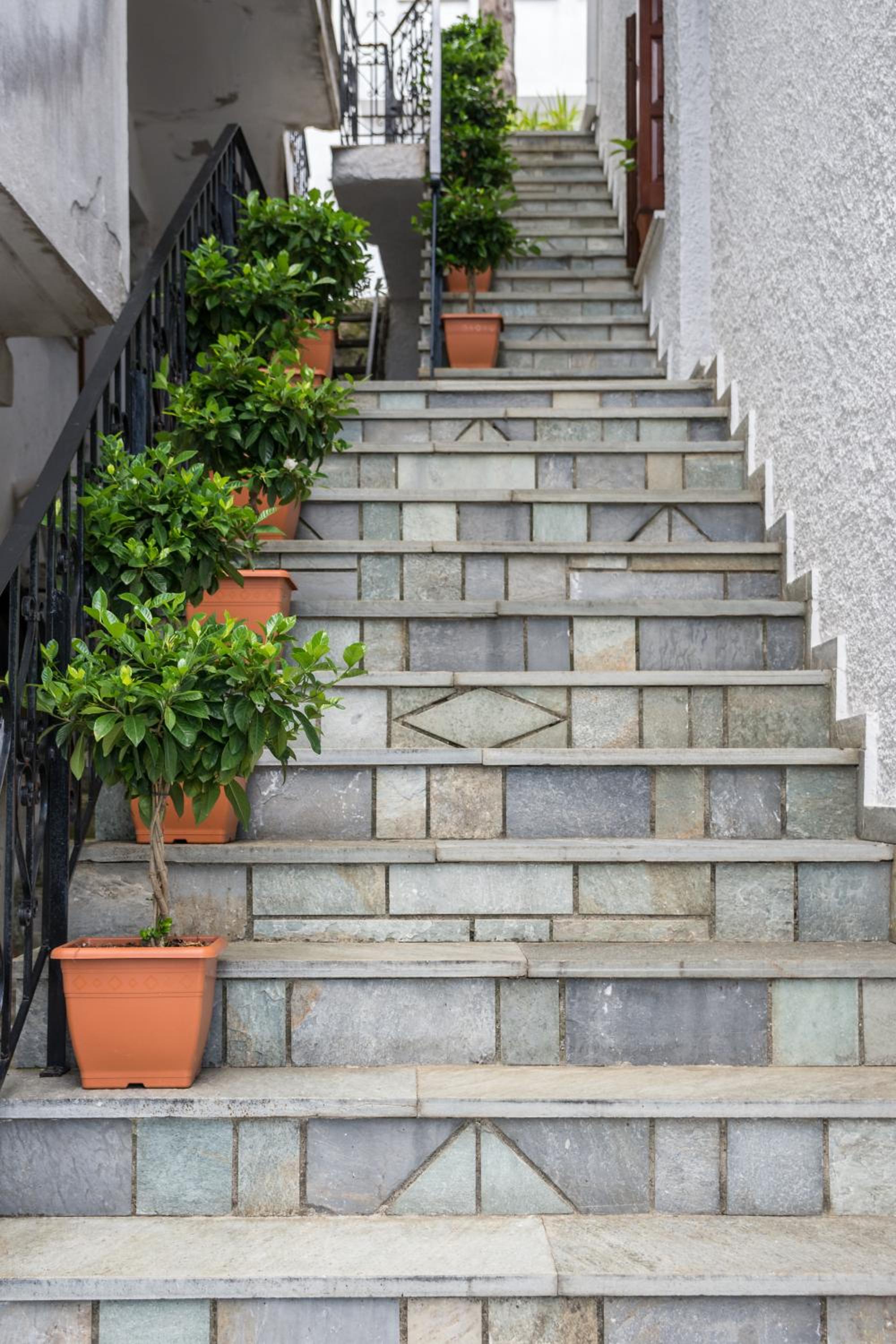 House of Gardenia
