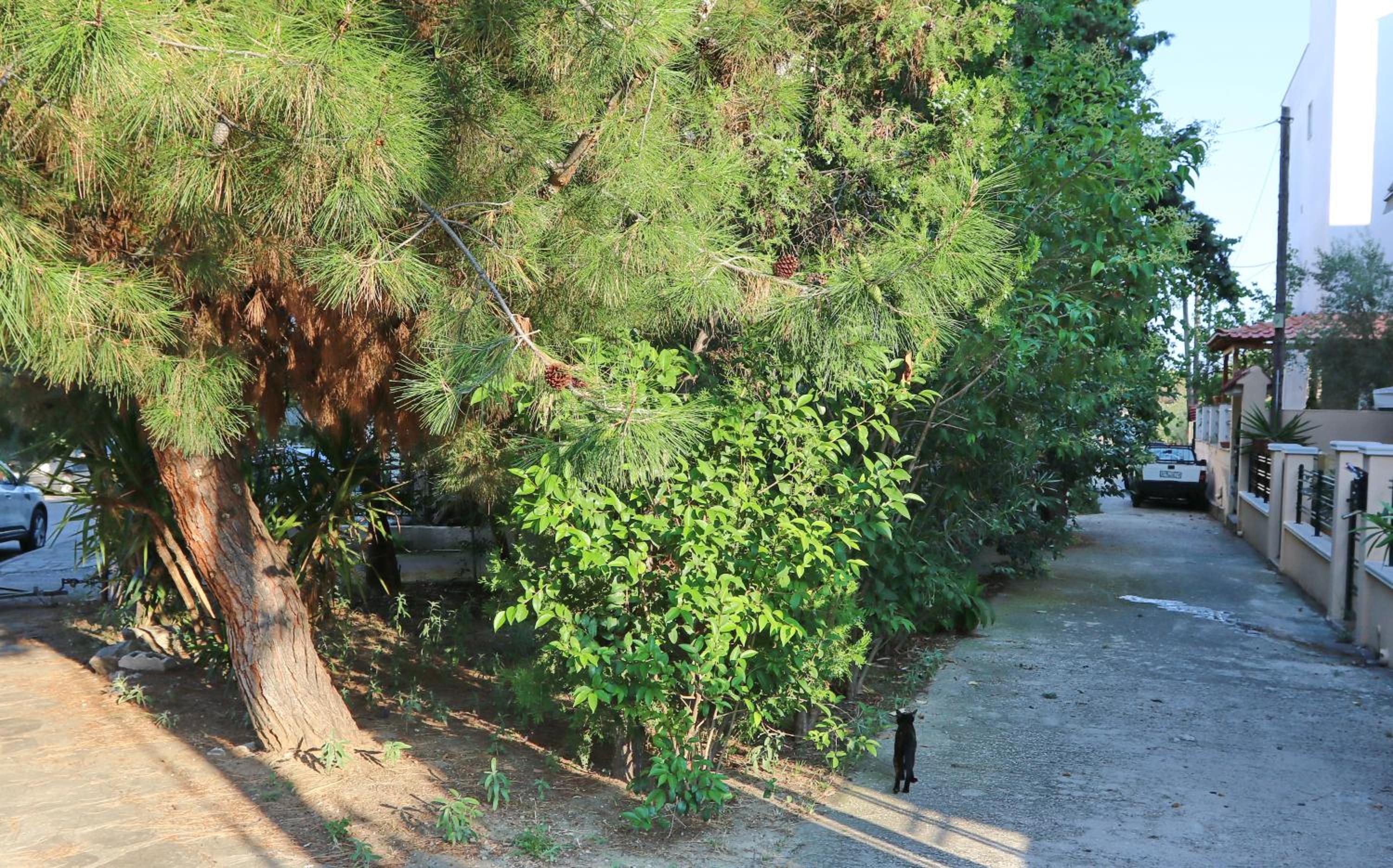 Elena 2 view 3