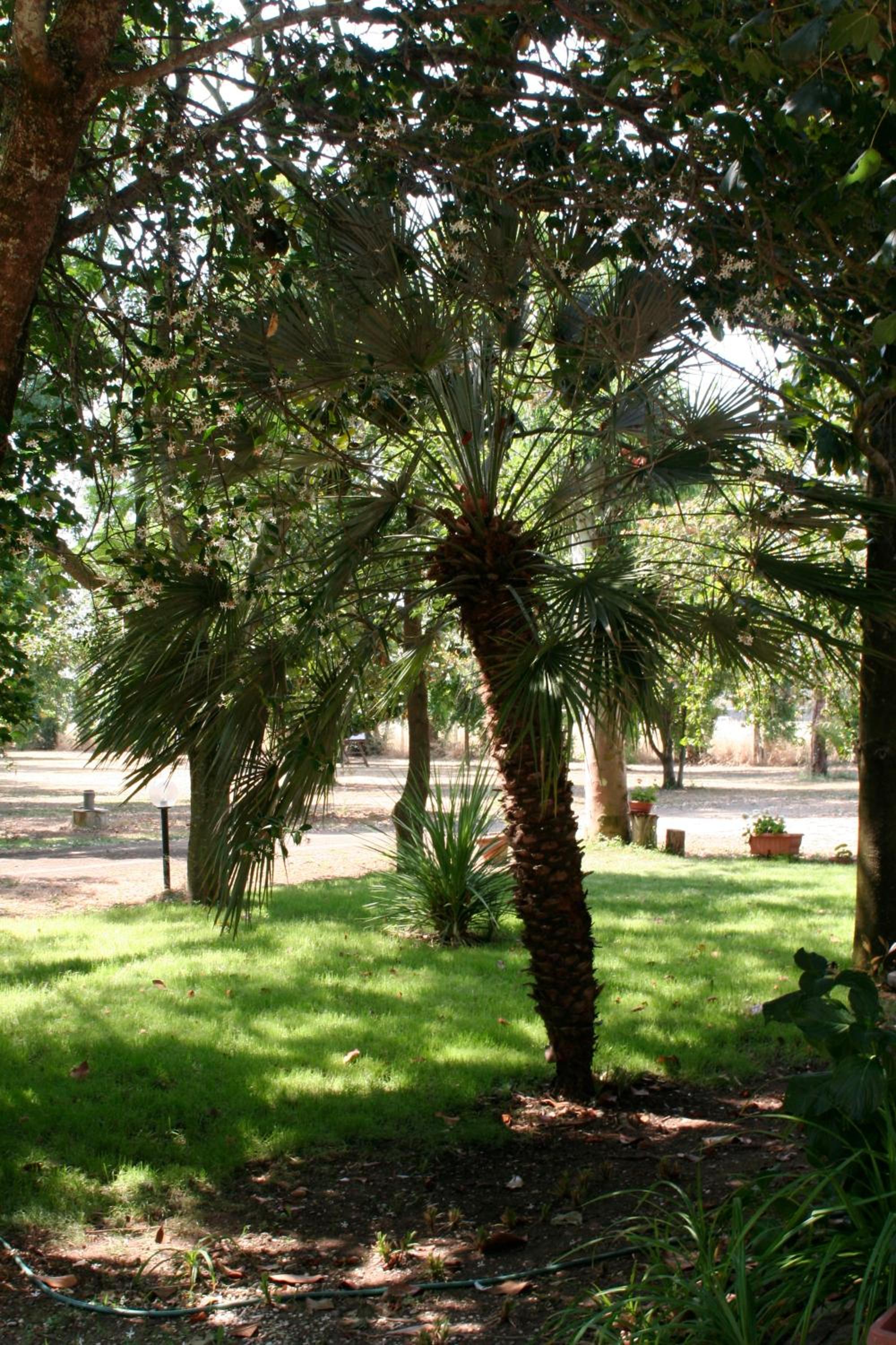 Photo 21