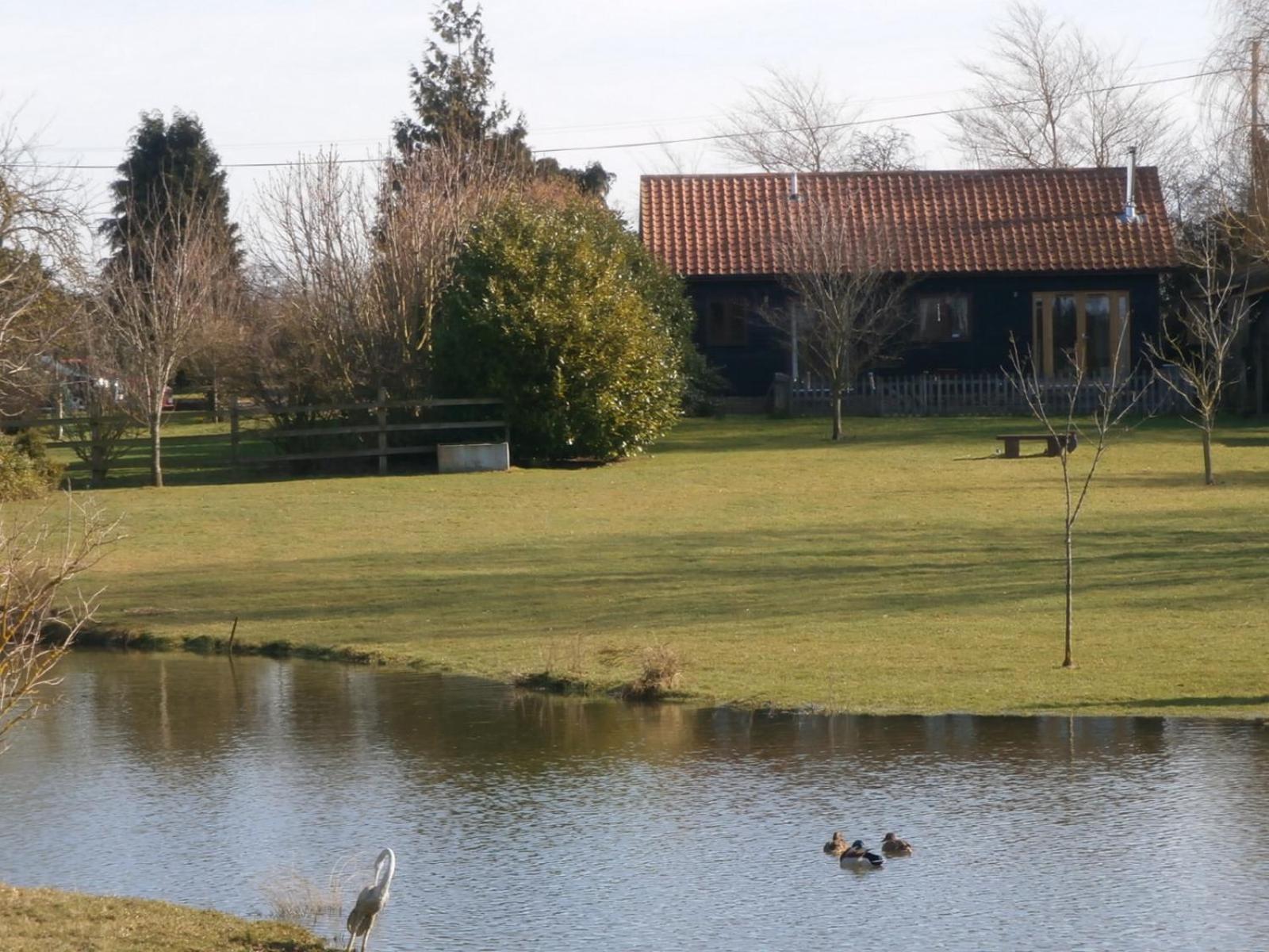 Lake View view 3