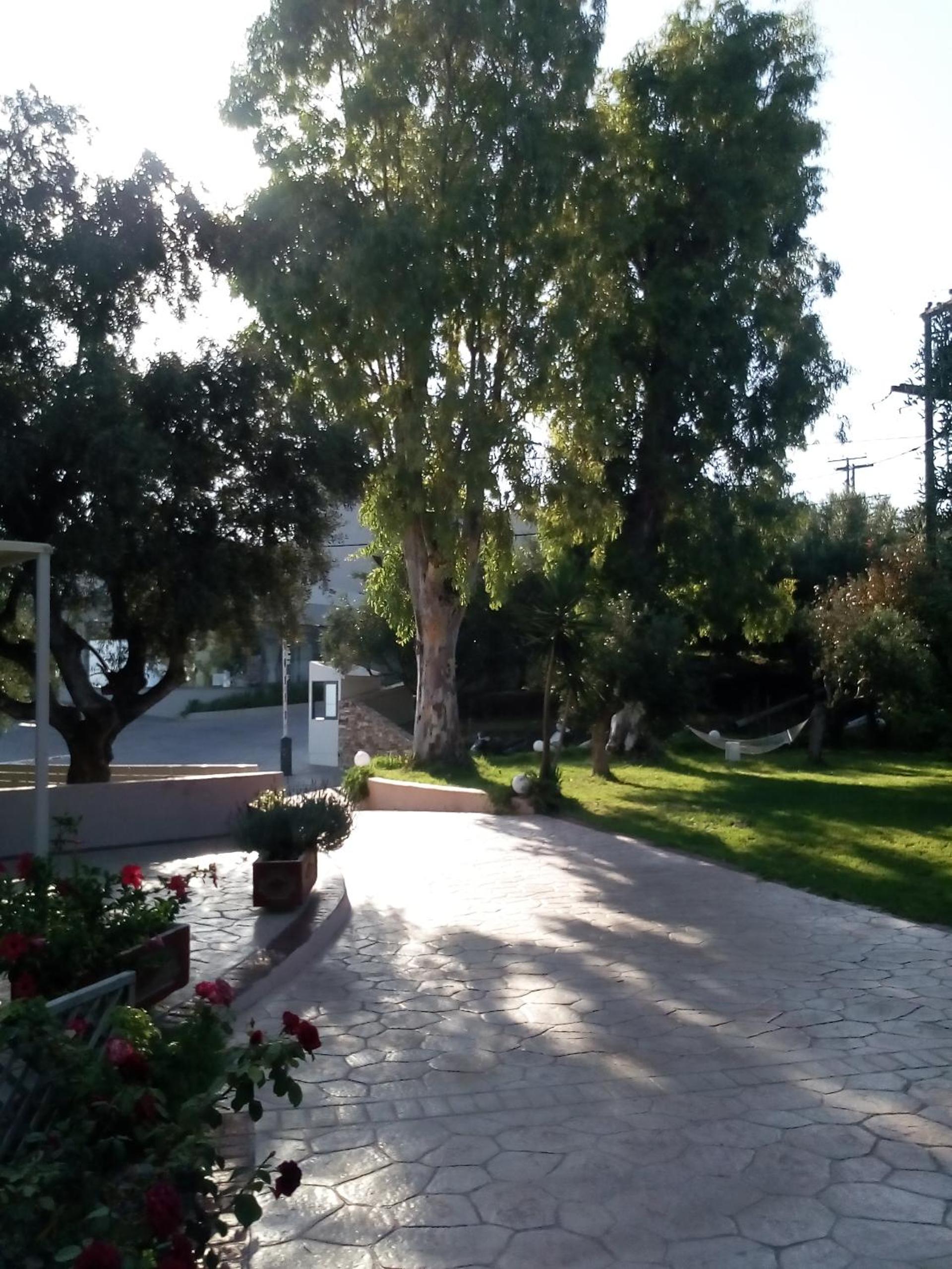 Photo 49