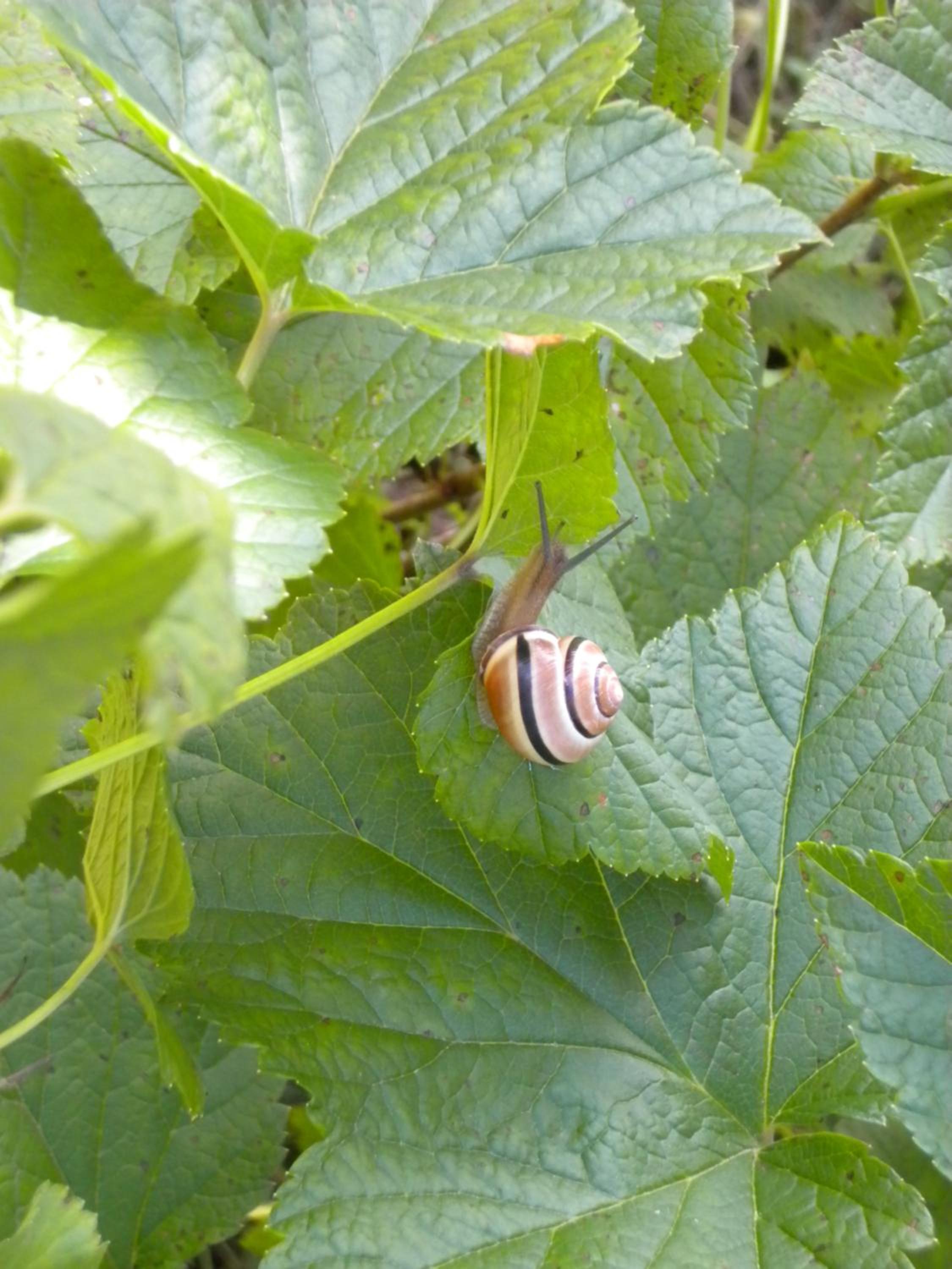 Photo 41
