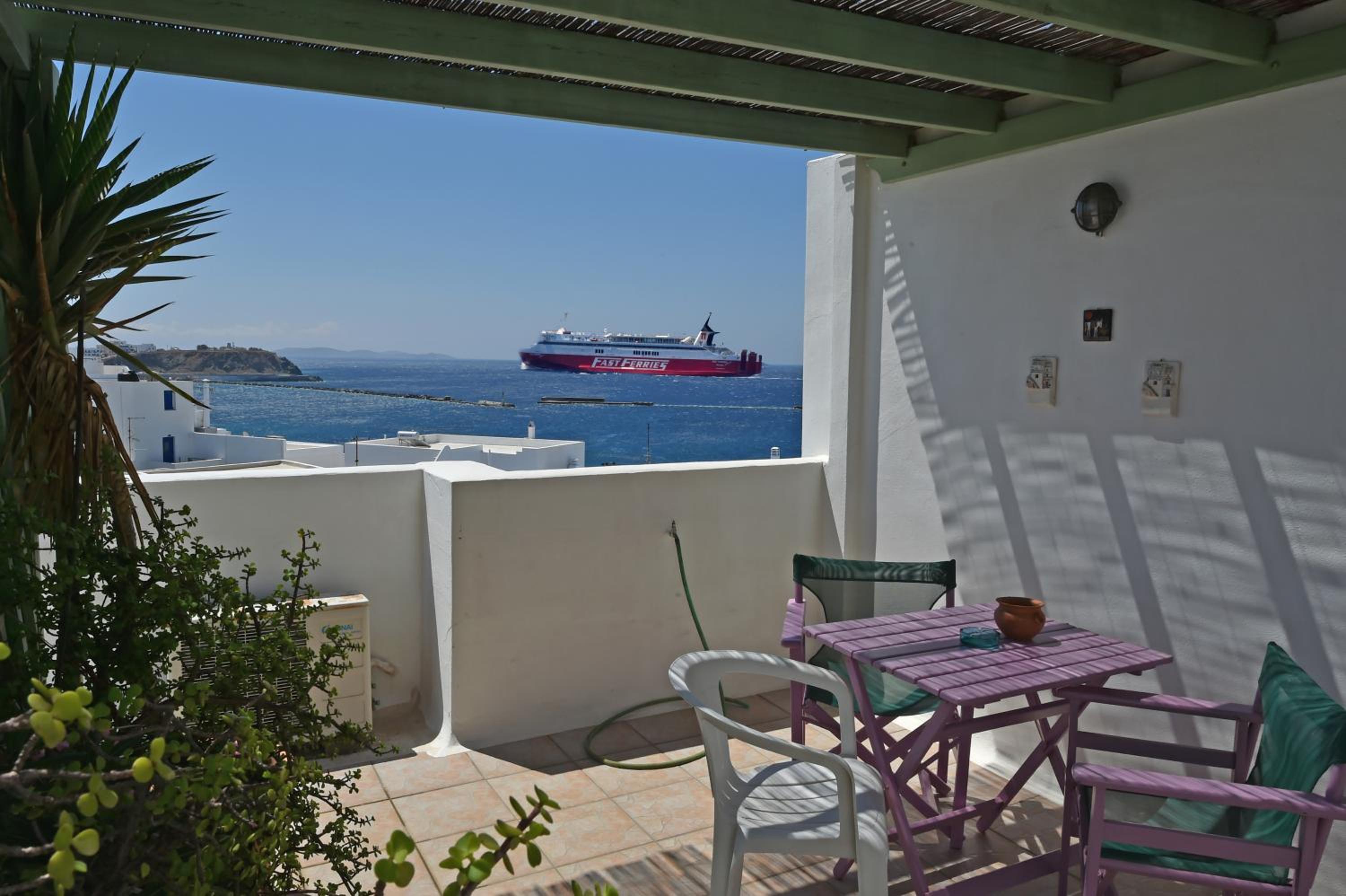 Picrodaphne view 5