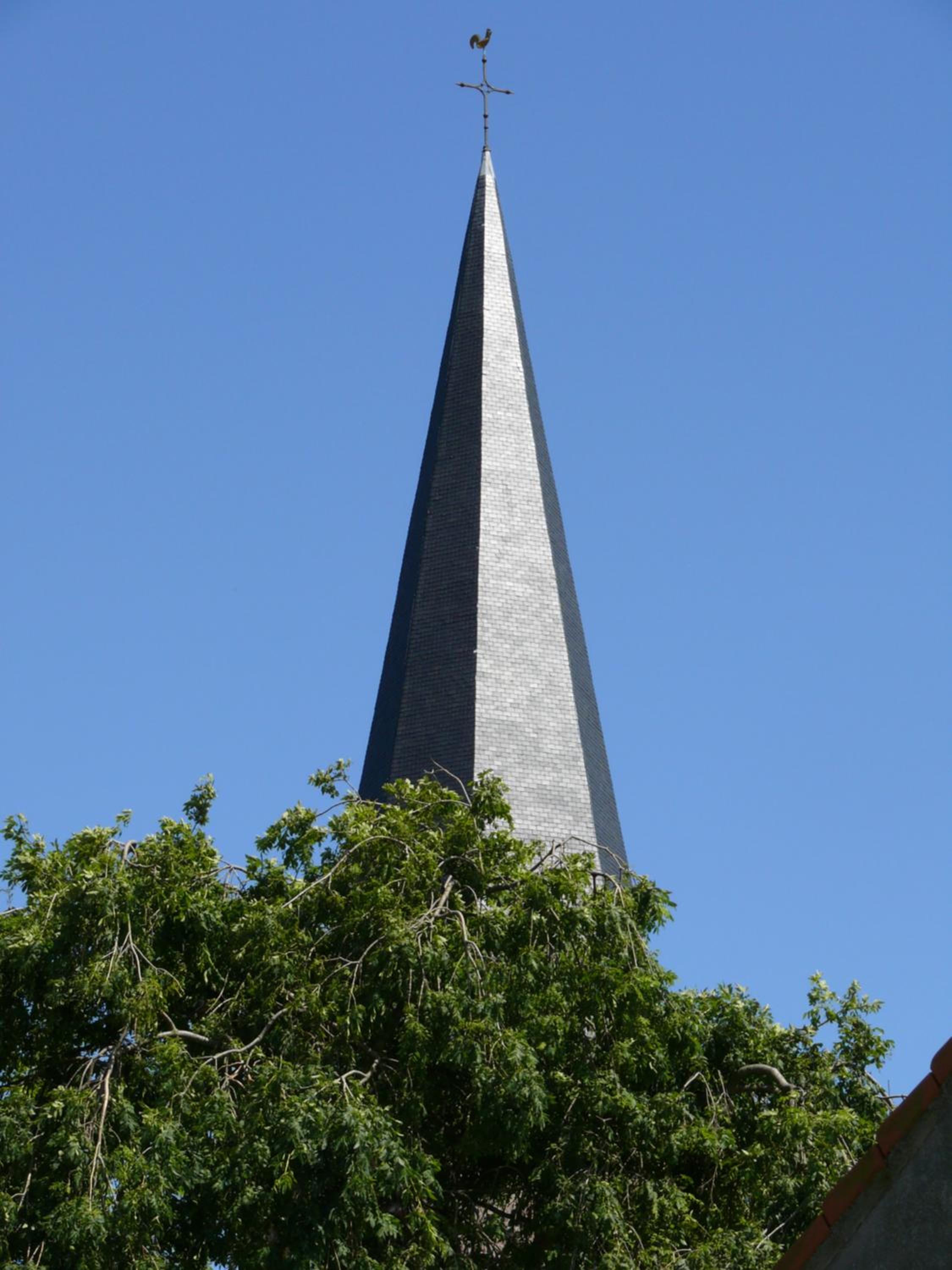 Domus Maria