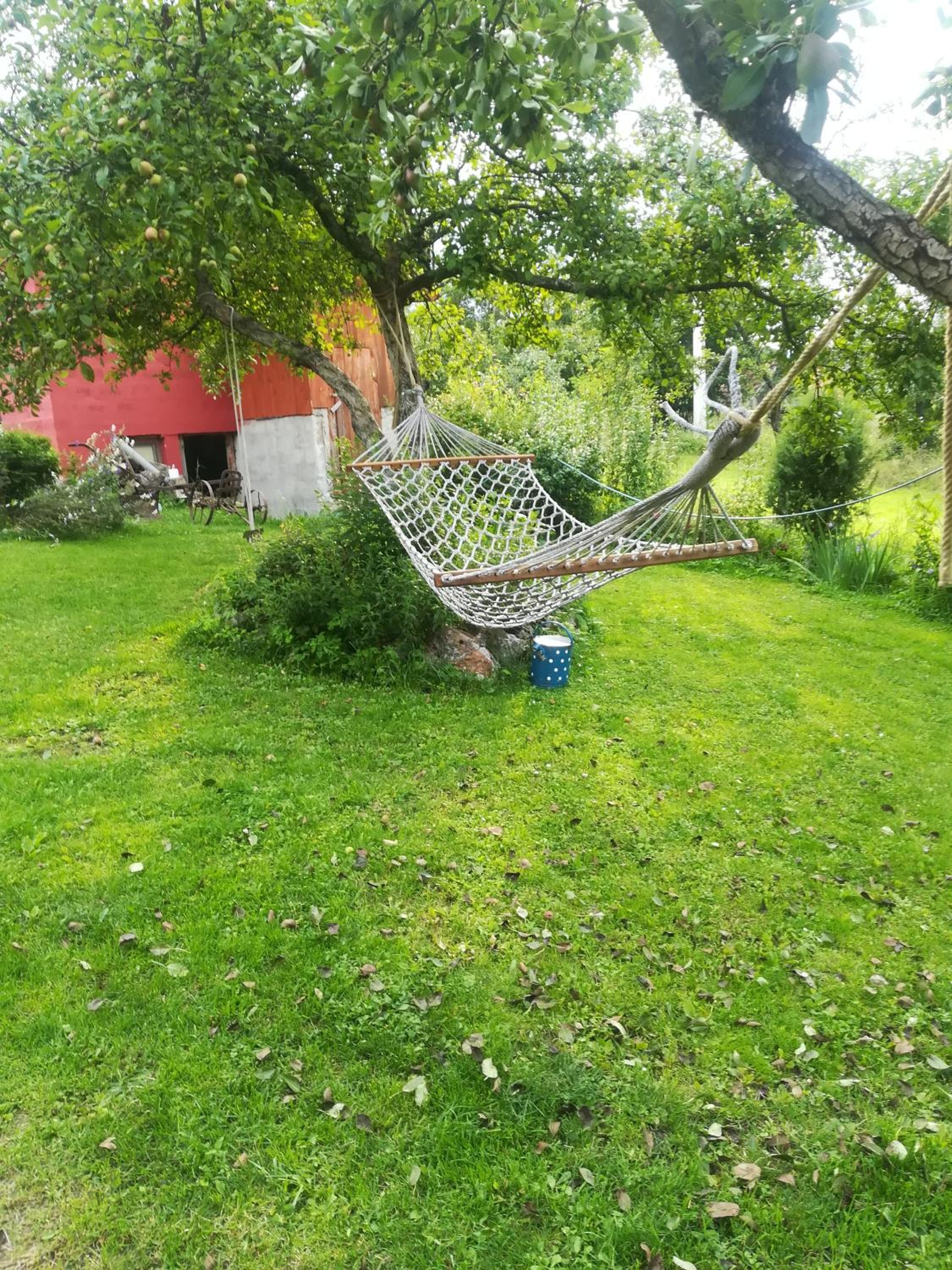 Photo 28