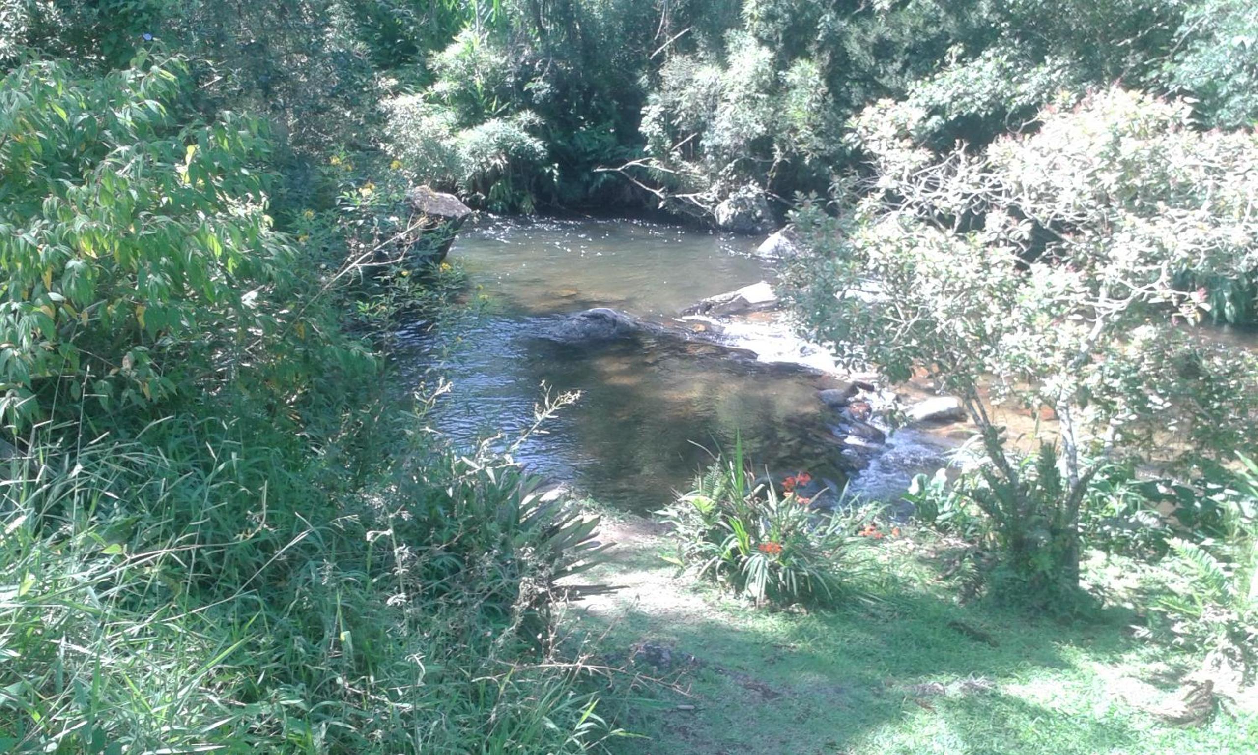 Estalagem Engenho de Serra - Parque Nacional do Itatiaia - Parte Alta