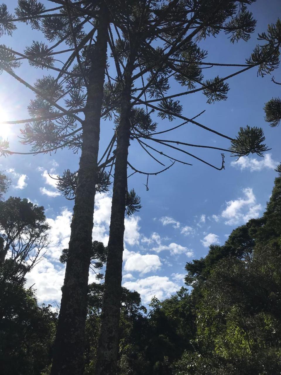 Estalagem Engenho de Serra - Parque Nacional do Itatiaia - Parte Alta