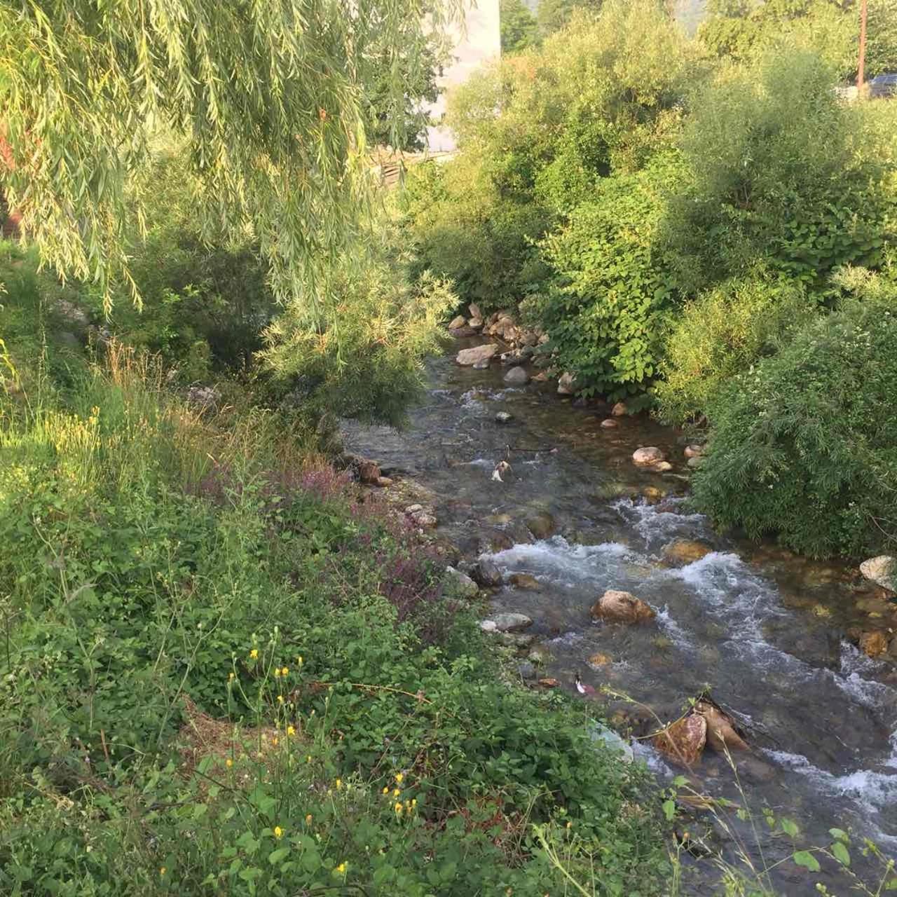 Photo 54