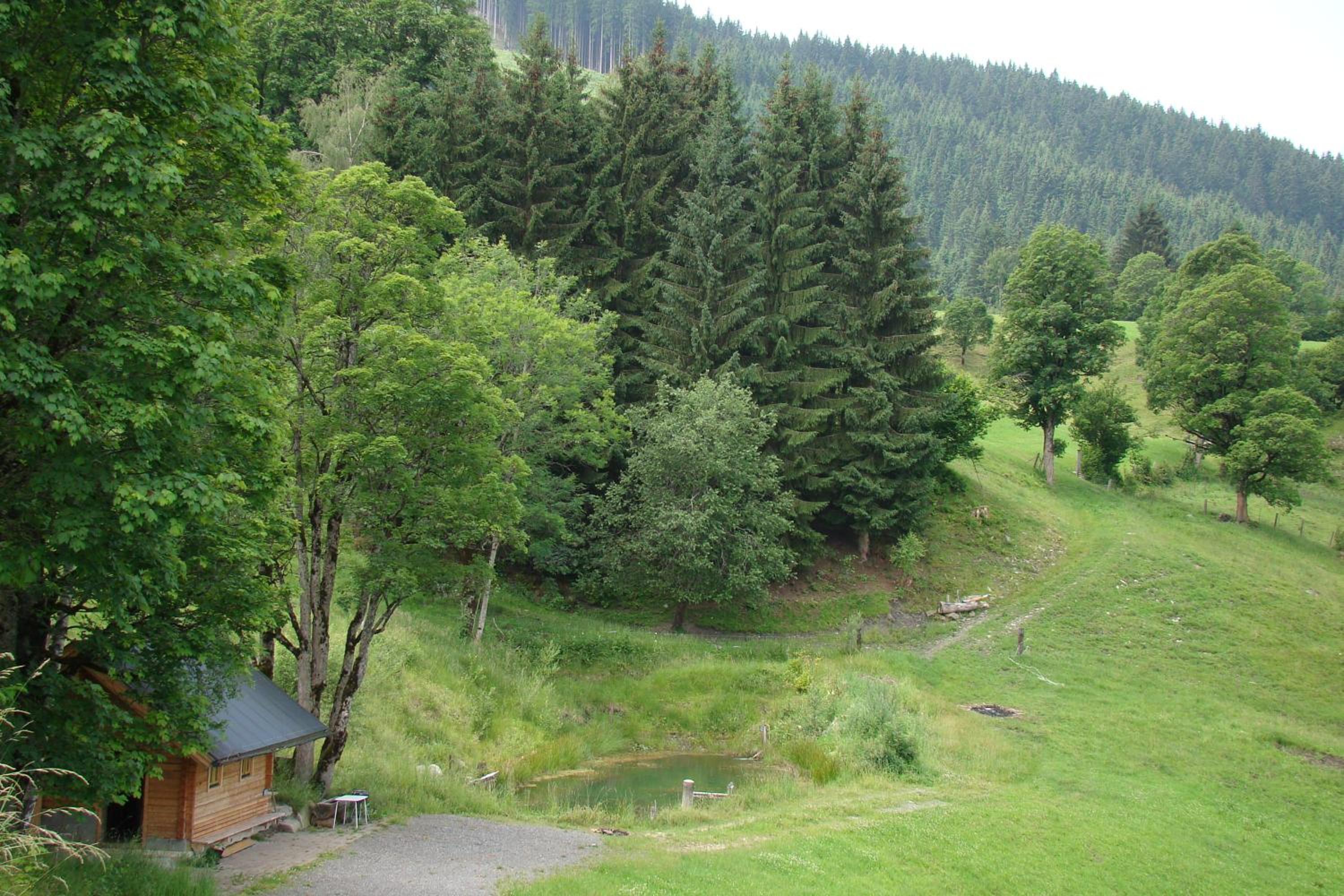 Unterholzhof