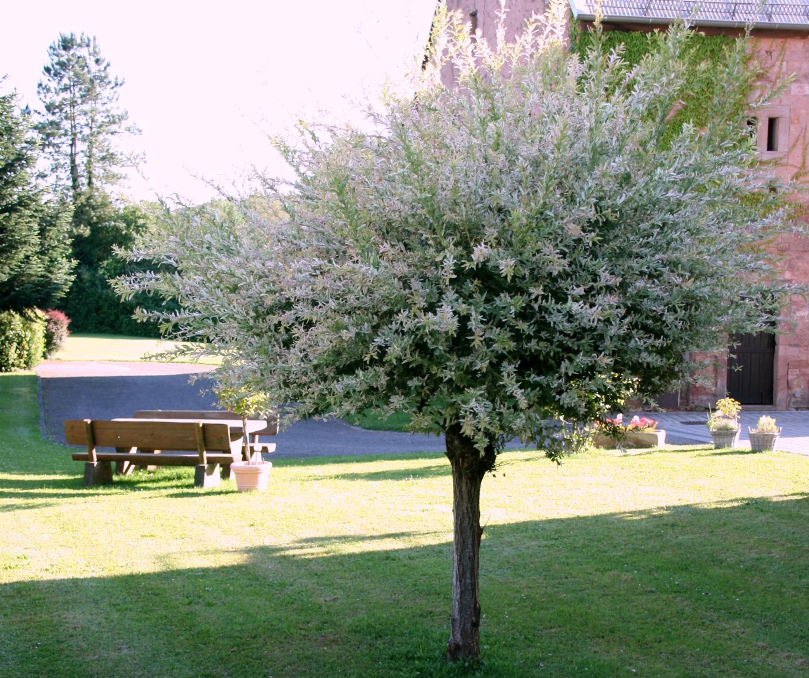 Photo 31