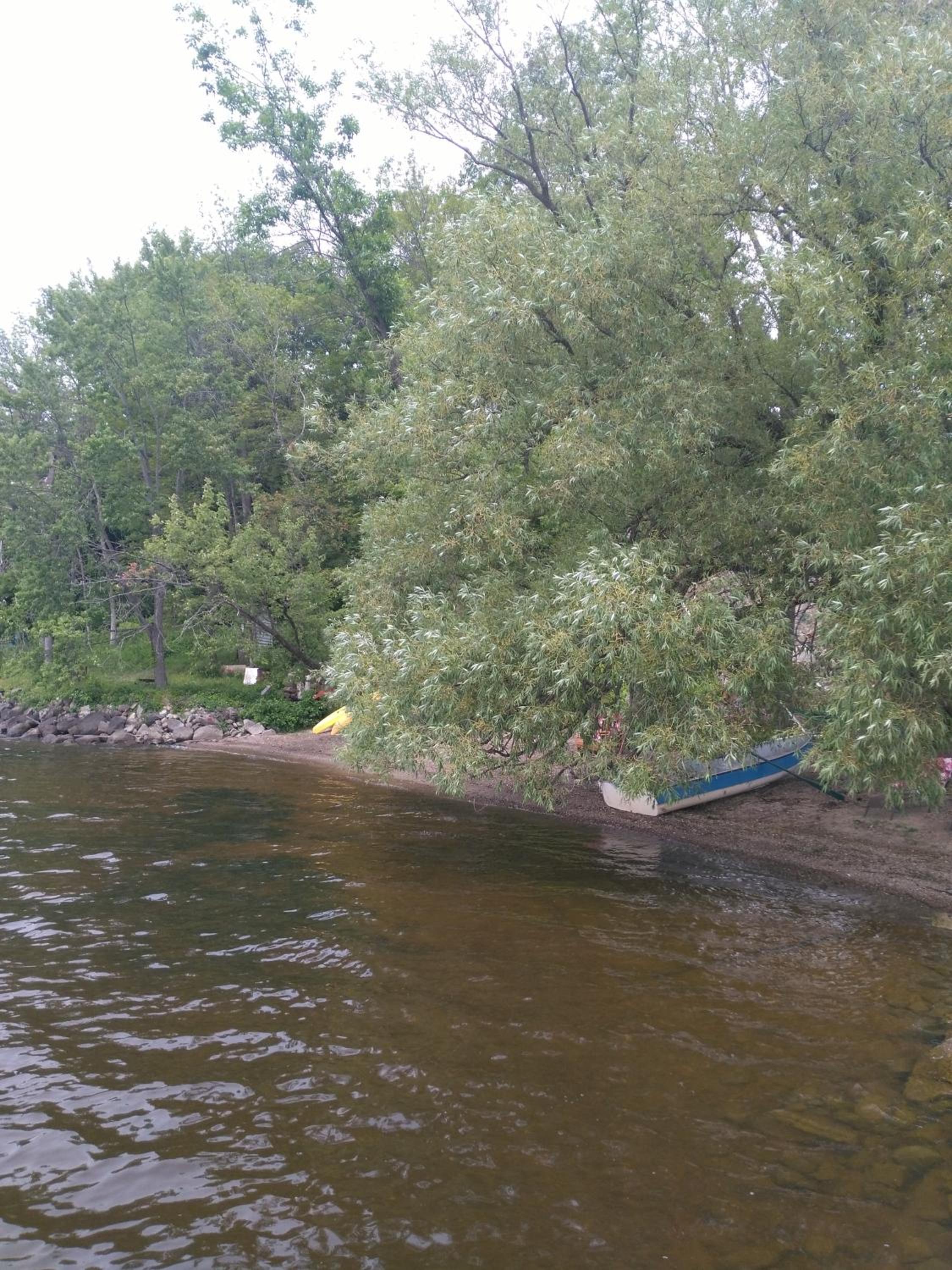 Photo 17