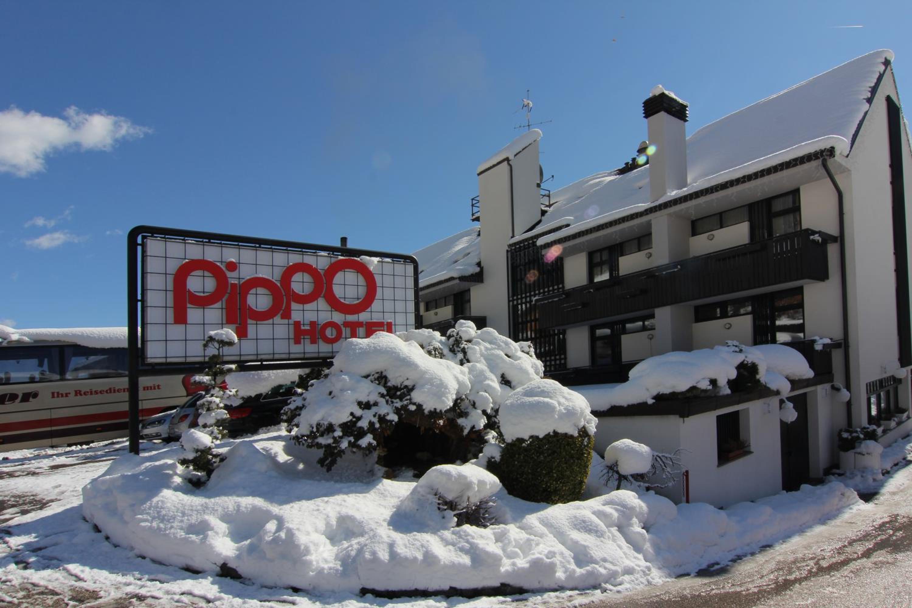 Hotel Pippo Hotel - Image 1