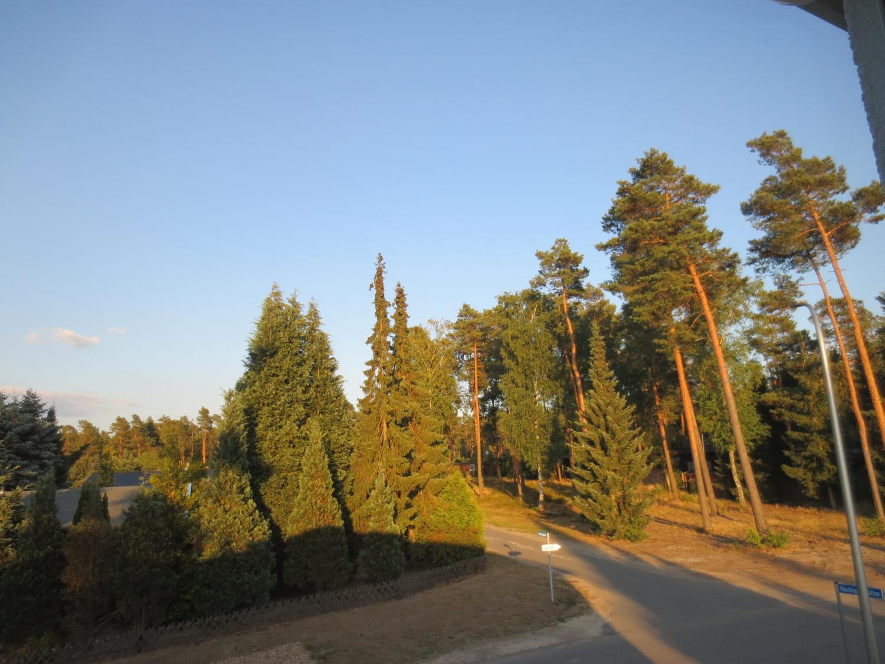 Photo 31