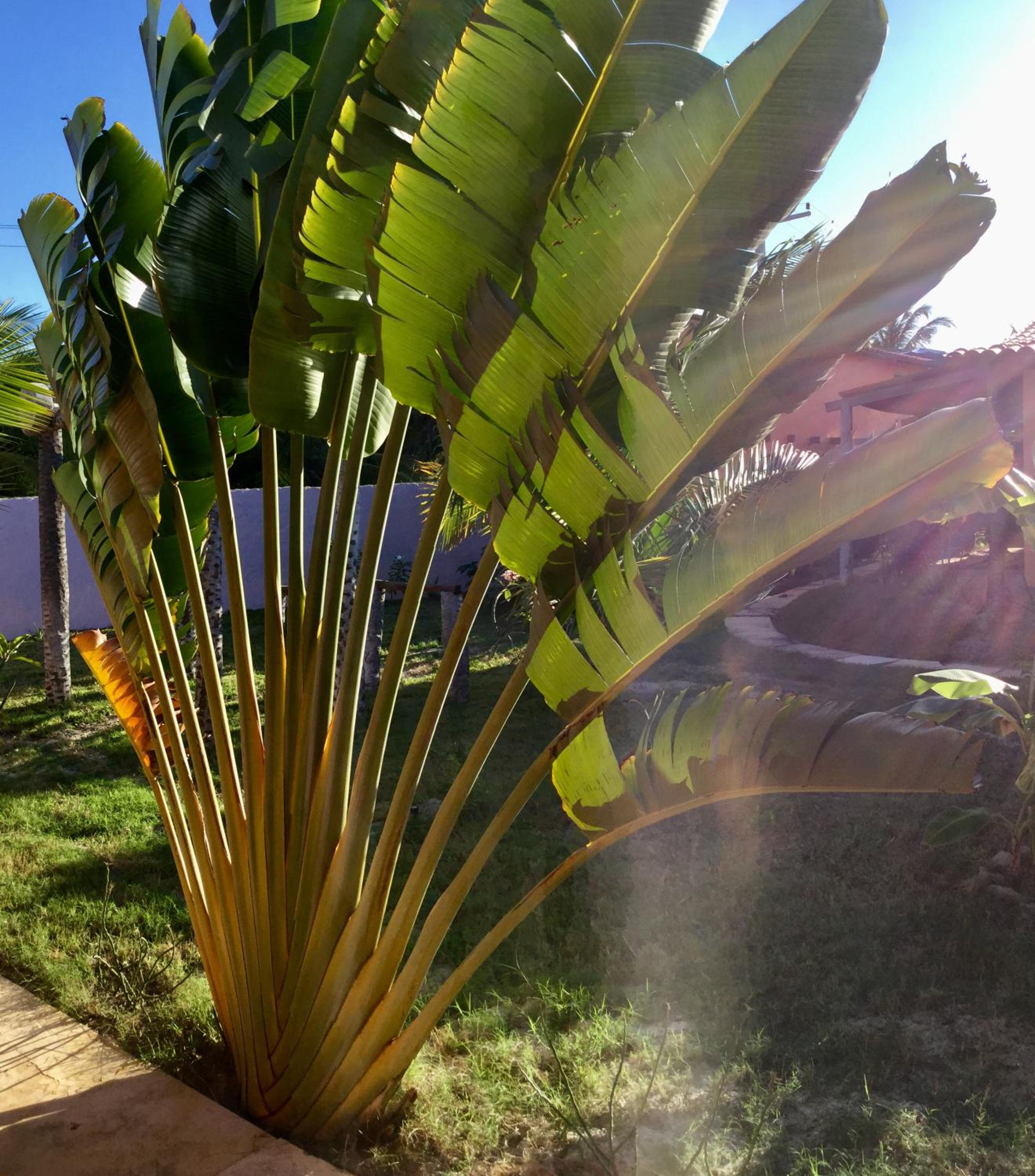 Pousada Kite Guajiru