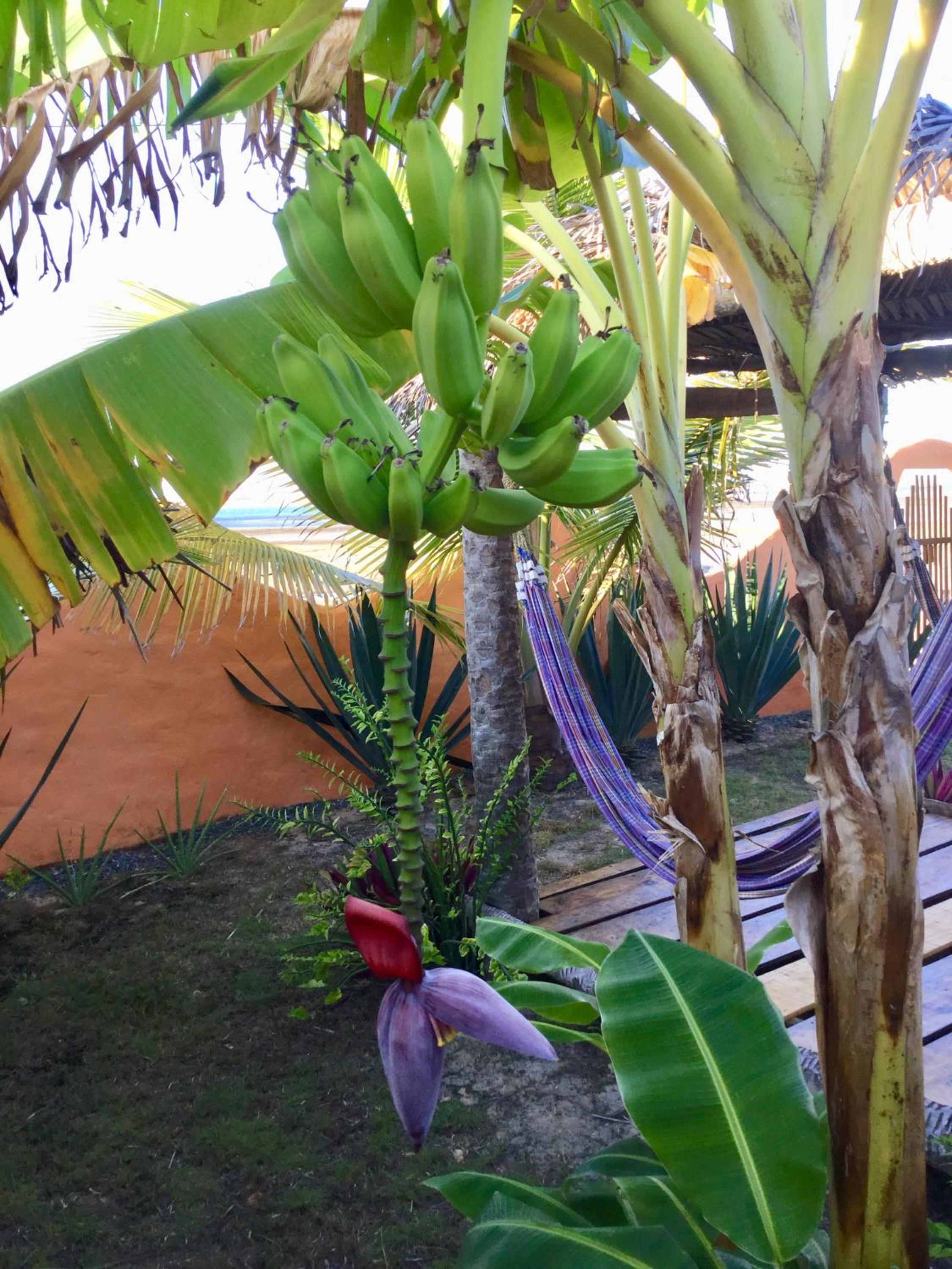 Pousada Kite Guajiru
