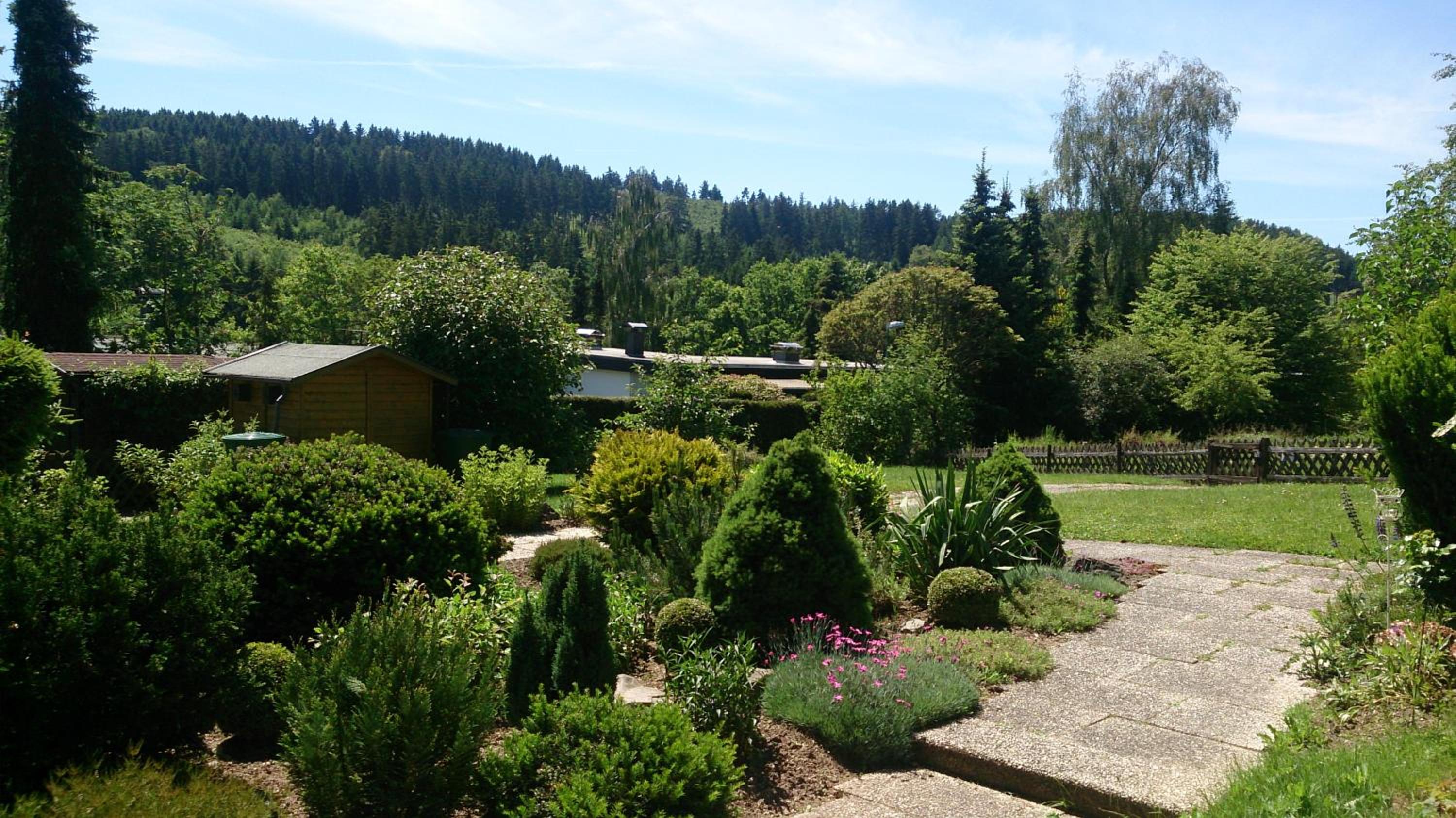 Photo 19