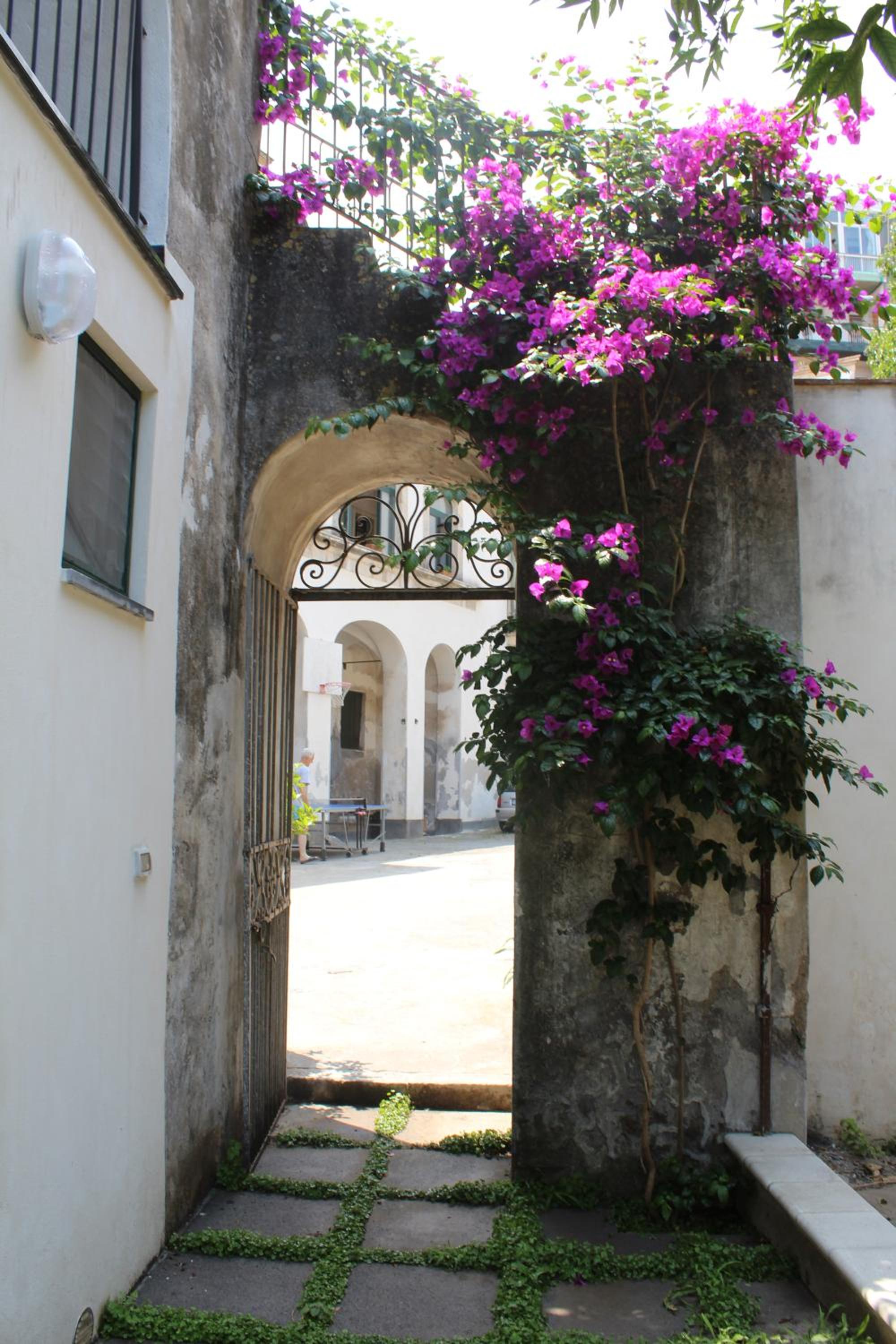 Photo 44