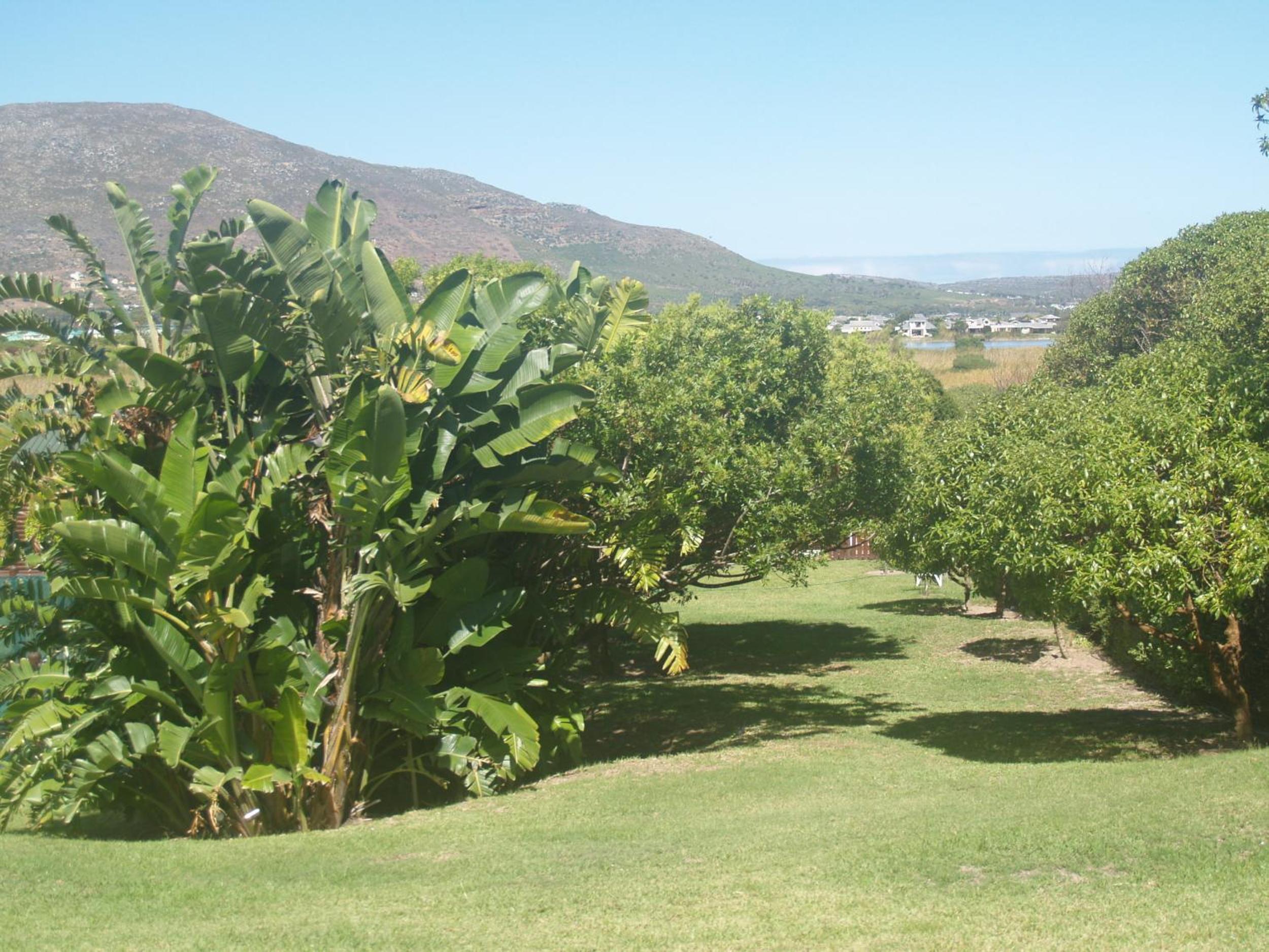 Horizon Cottages