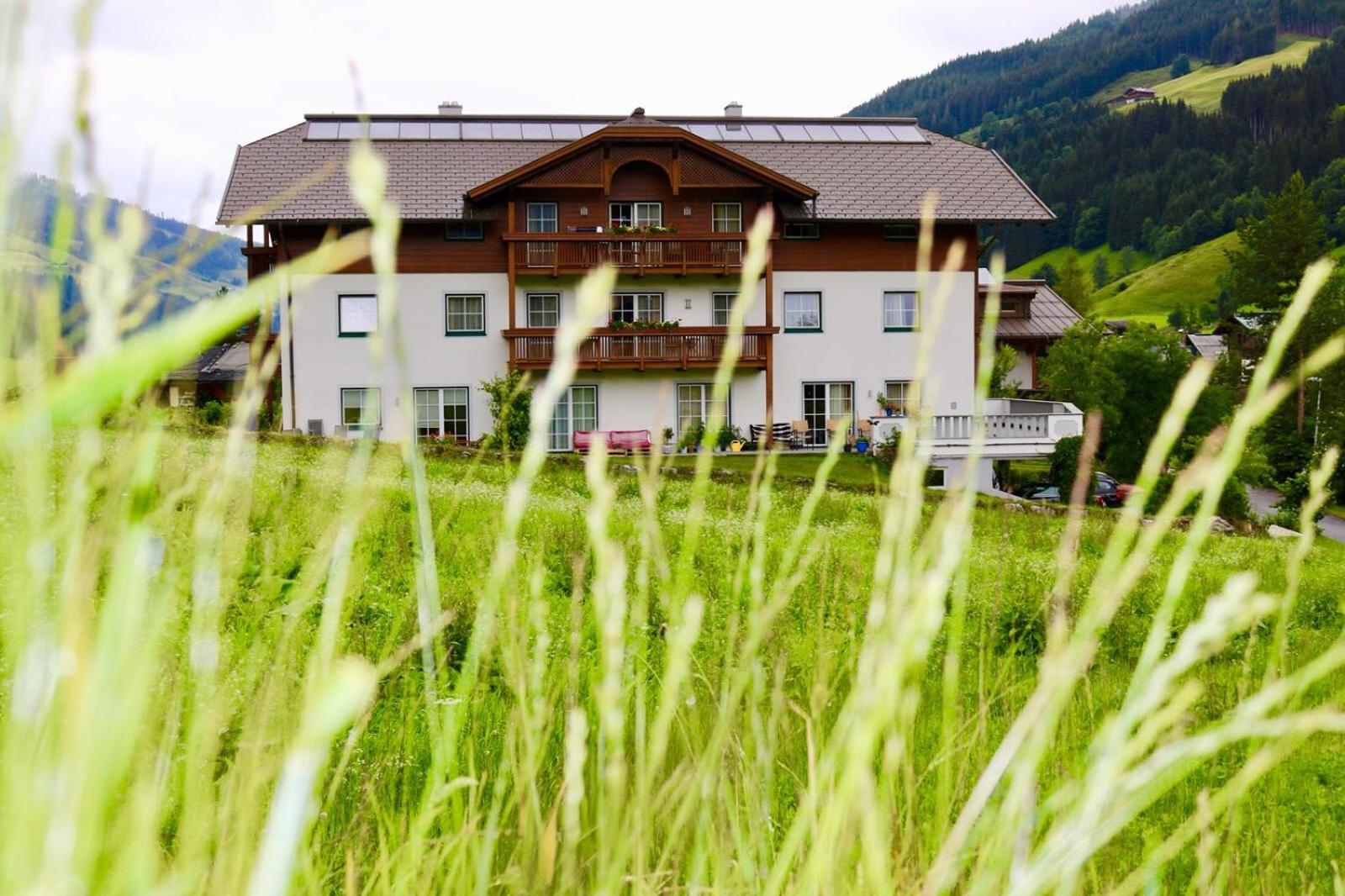 Appartementhaus Elmo Viehhauser KG
