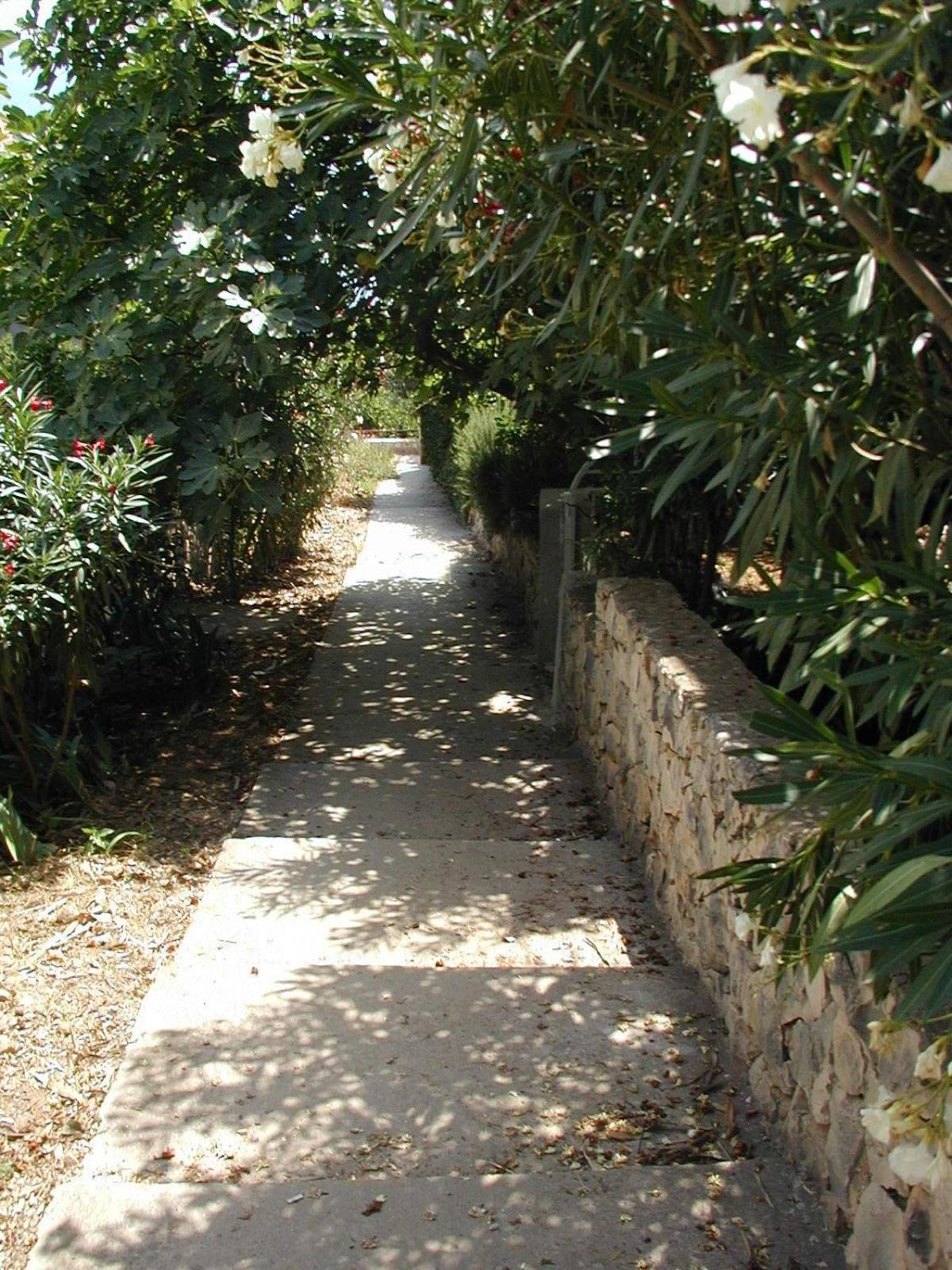 Photo 25