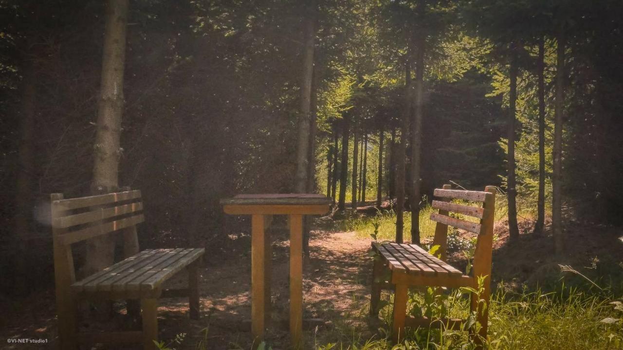 Green Forest Visoko