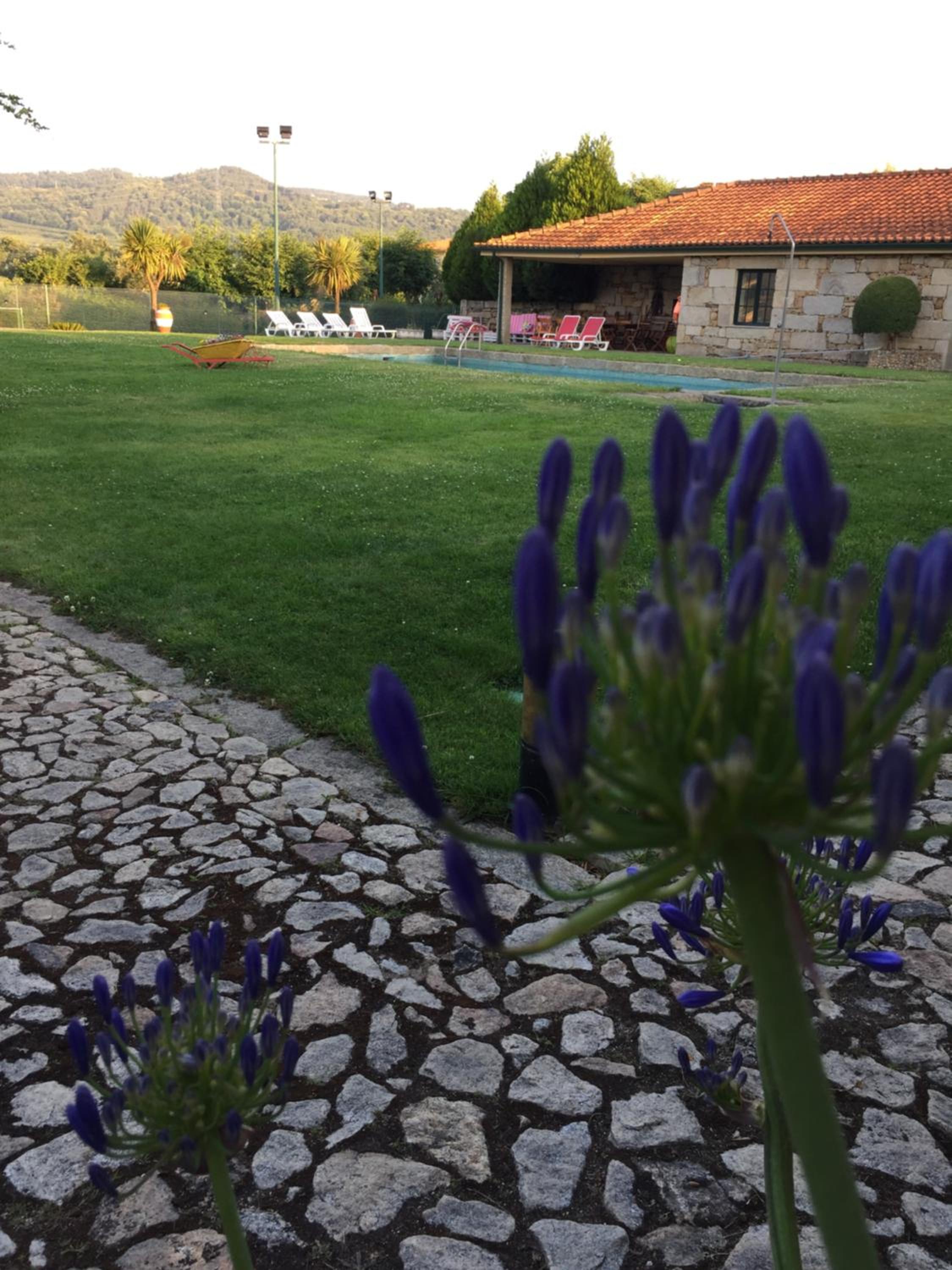 Quinta da Vinha Morta view 5