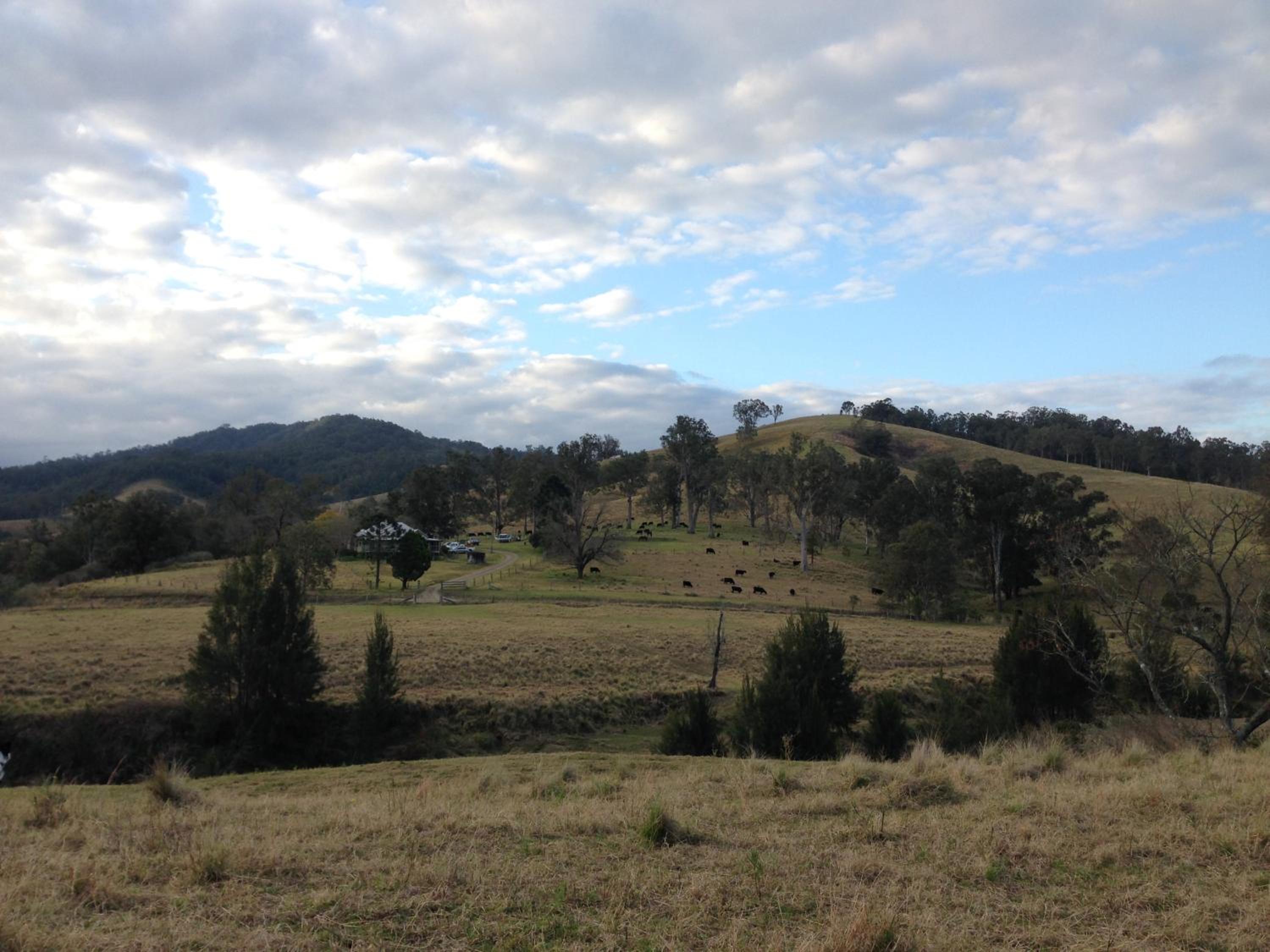 Bobby's Country Rental