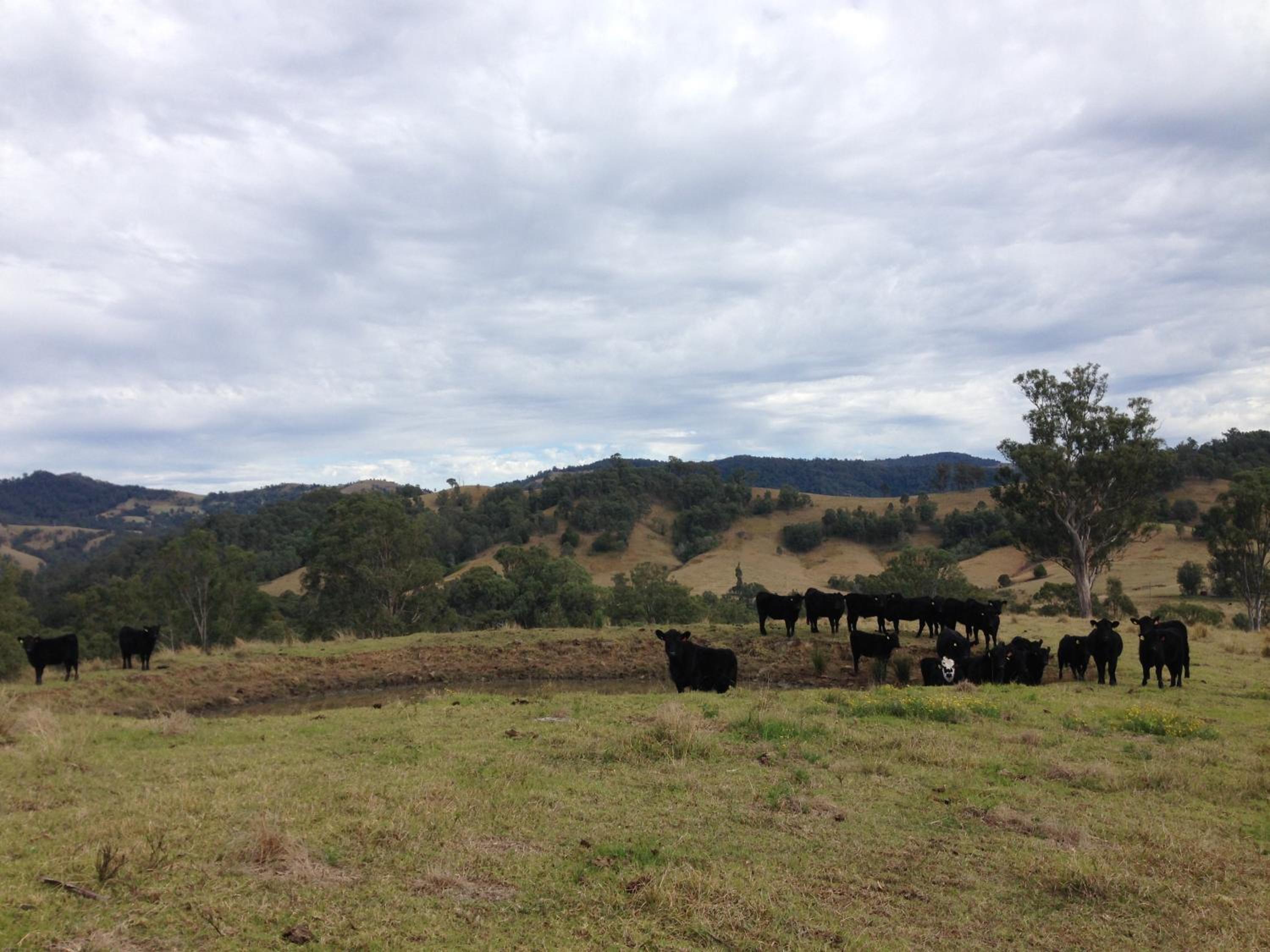 Bobby's Country Rental