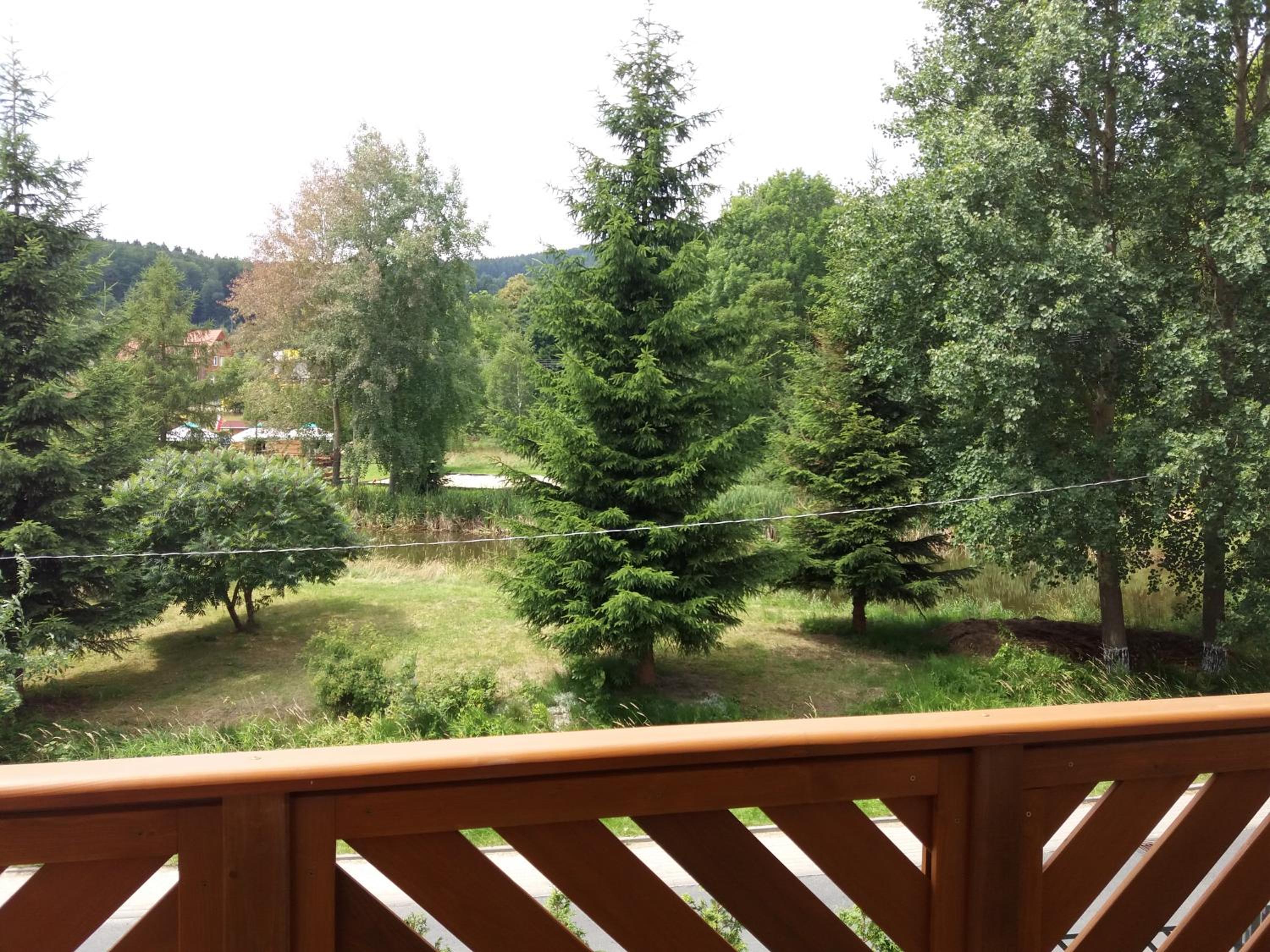 Photo 46