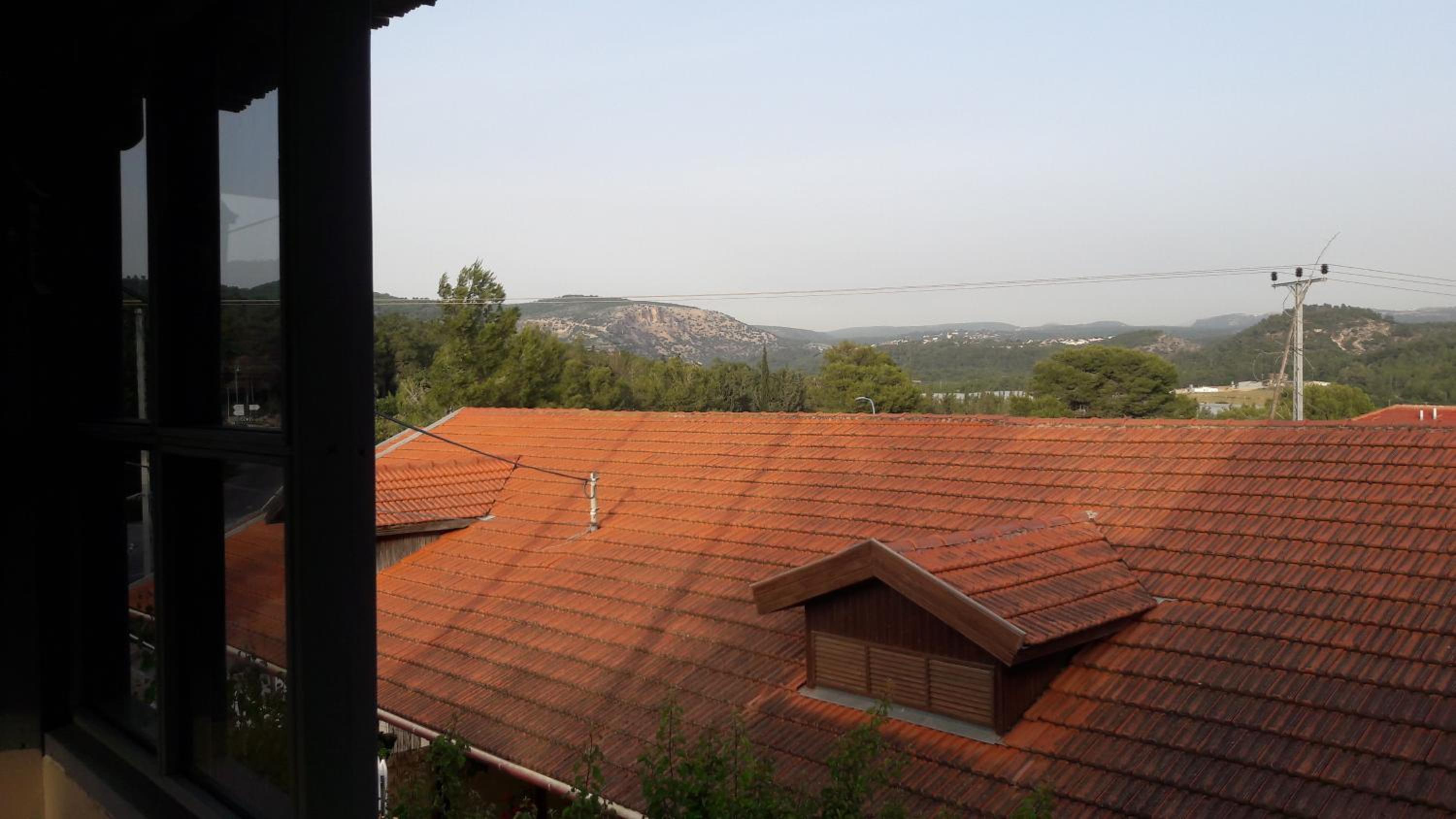 בין יער לים, fotografía 3