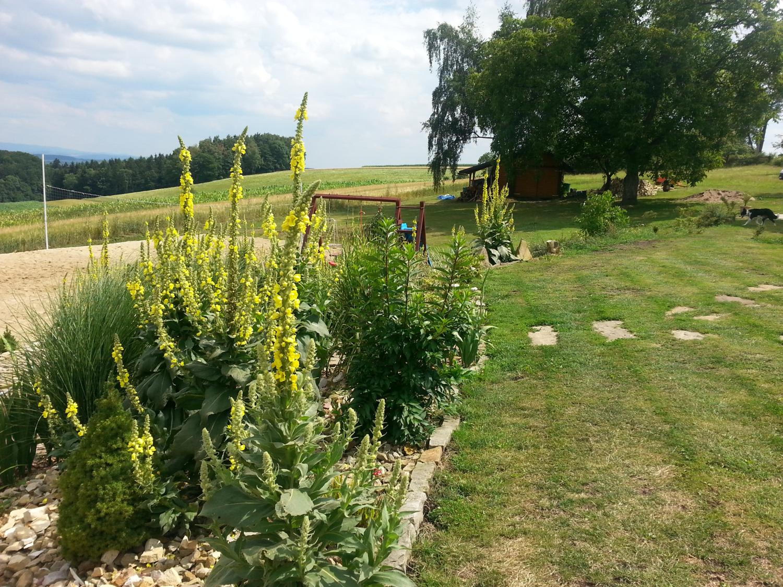 Guest House Starý Sedloňov