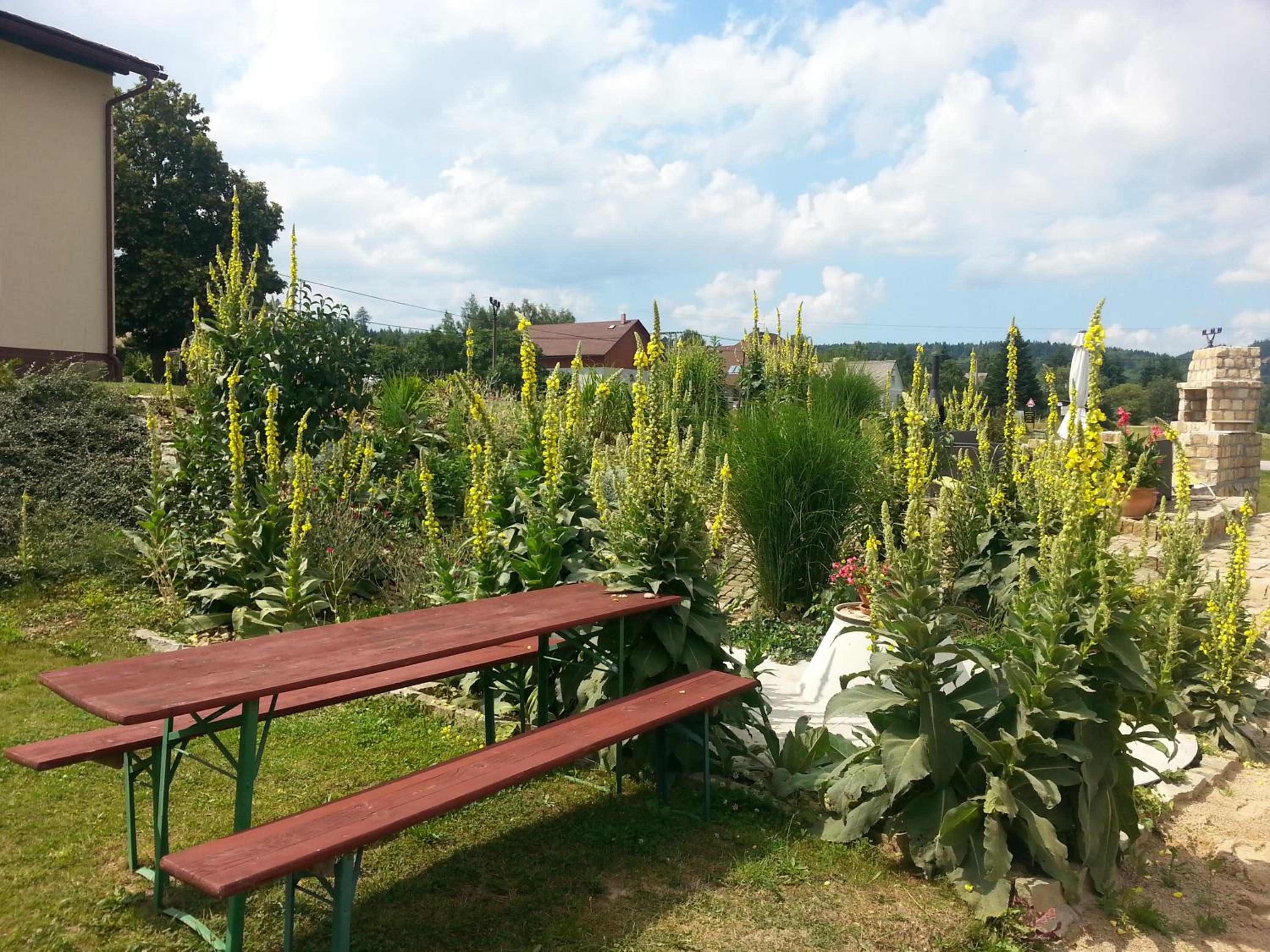 Guest House Starý Sedloňov