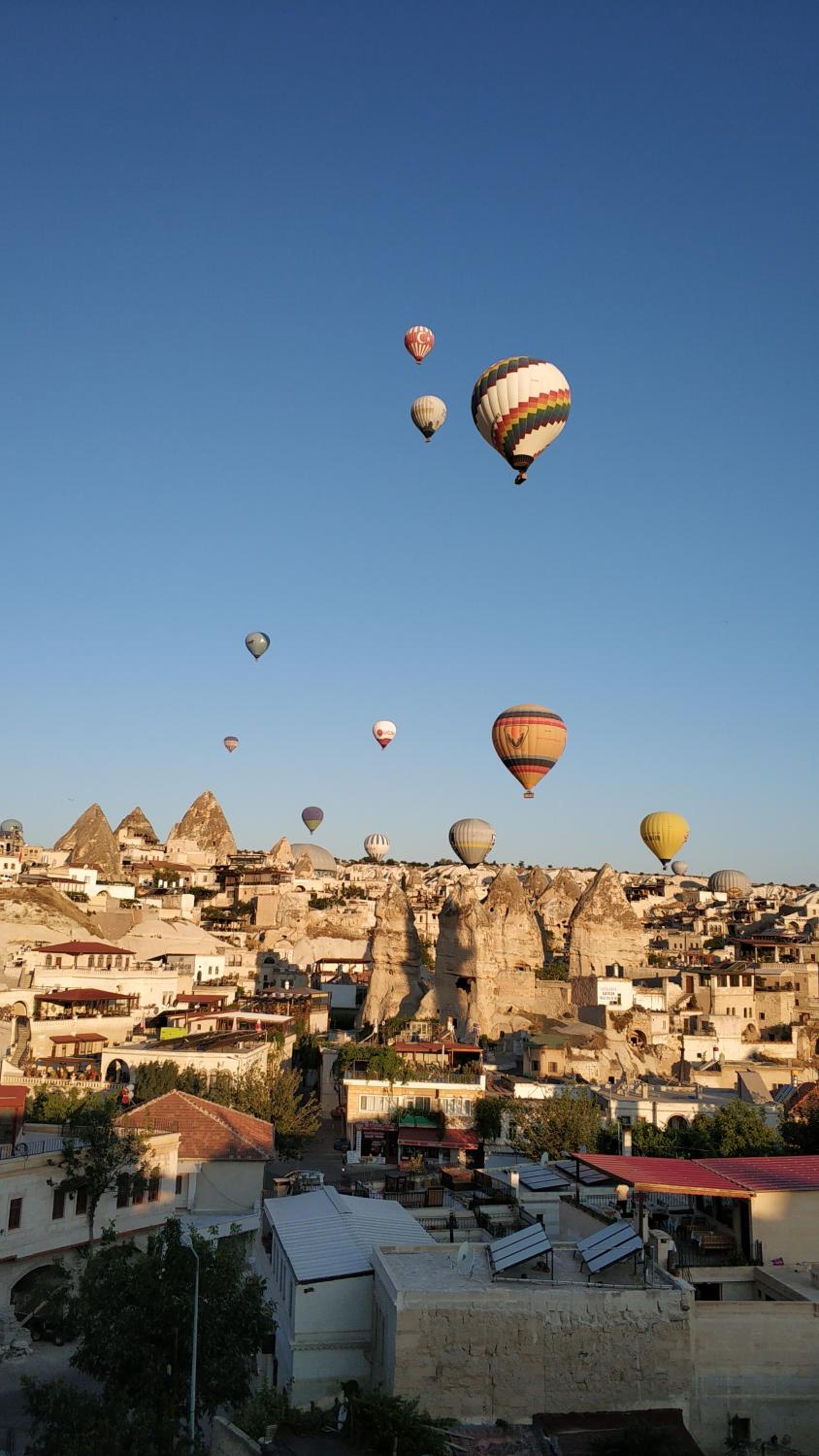 Arch Palace - Image 129