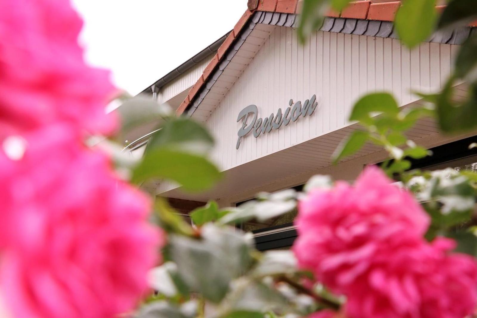 Pension " Zu den Linden" Trin view 3