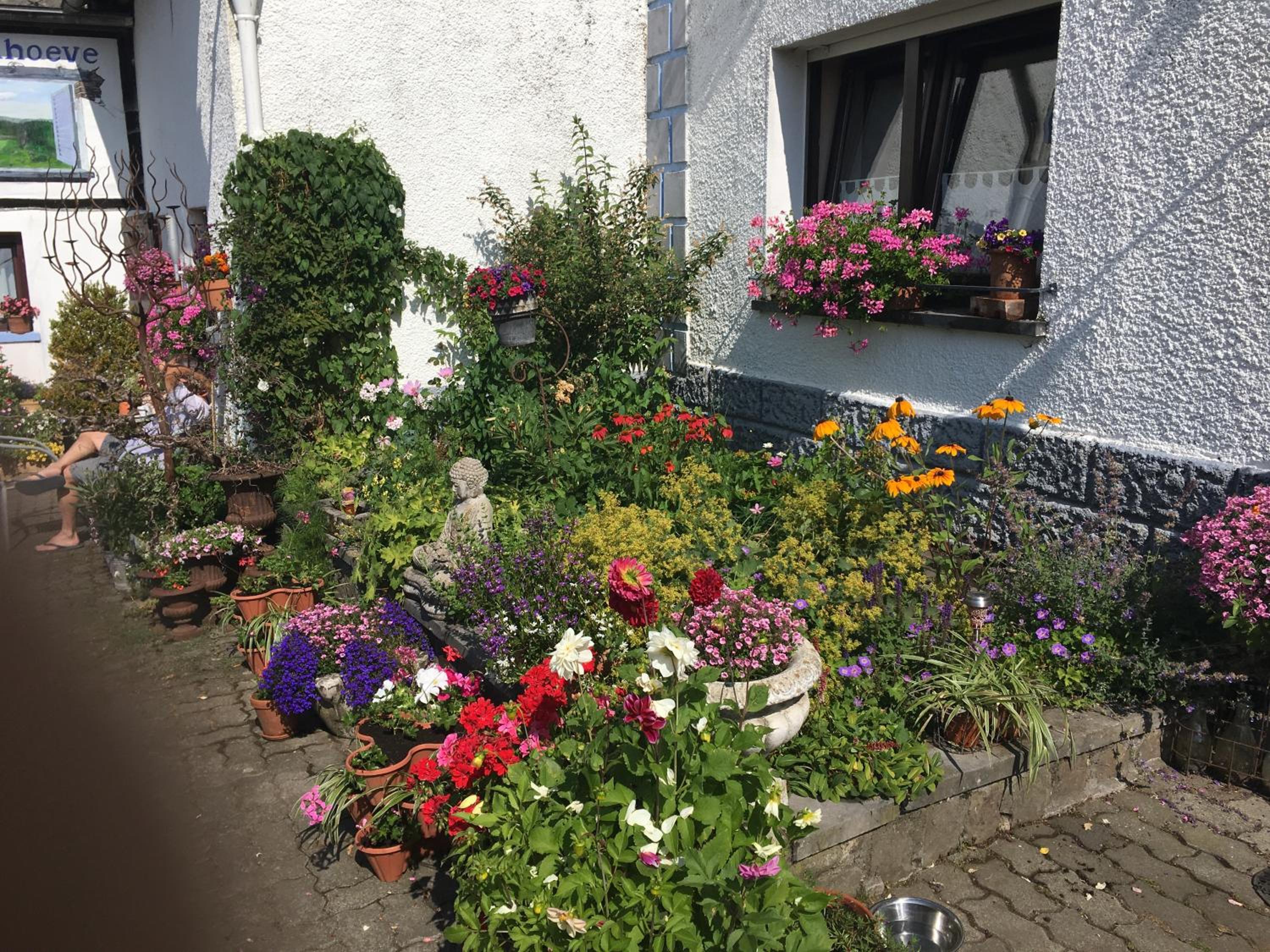 B&B De Eifelhoeve