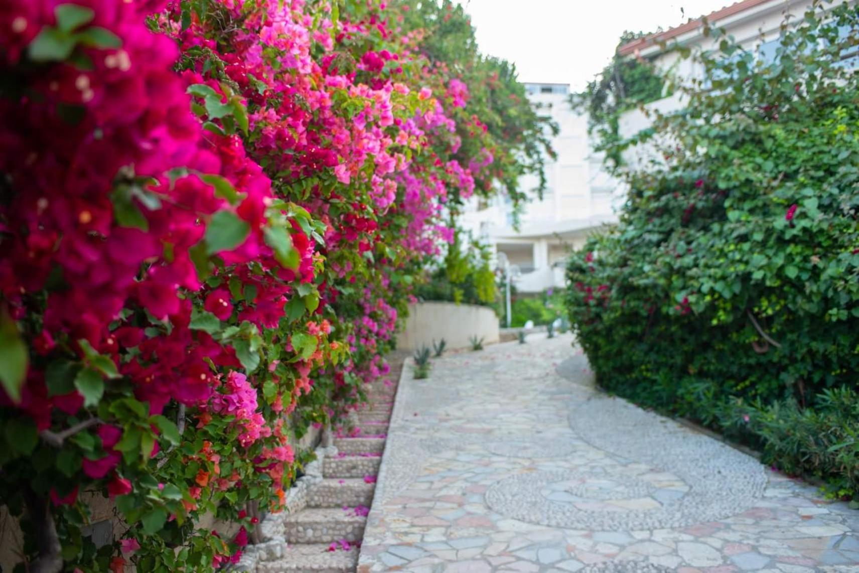 Bougainvill Sunset Villa
