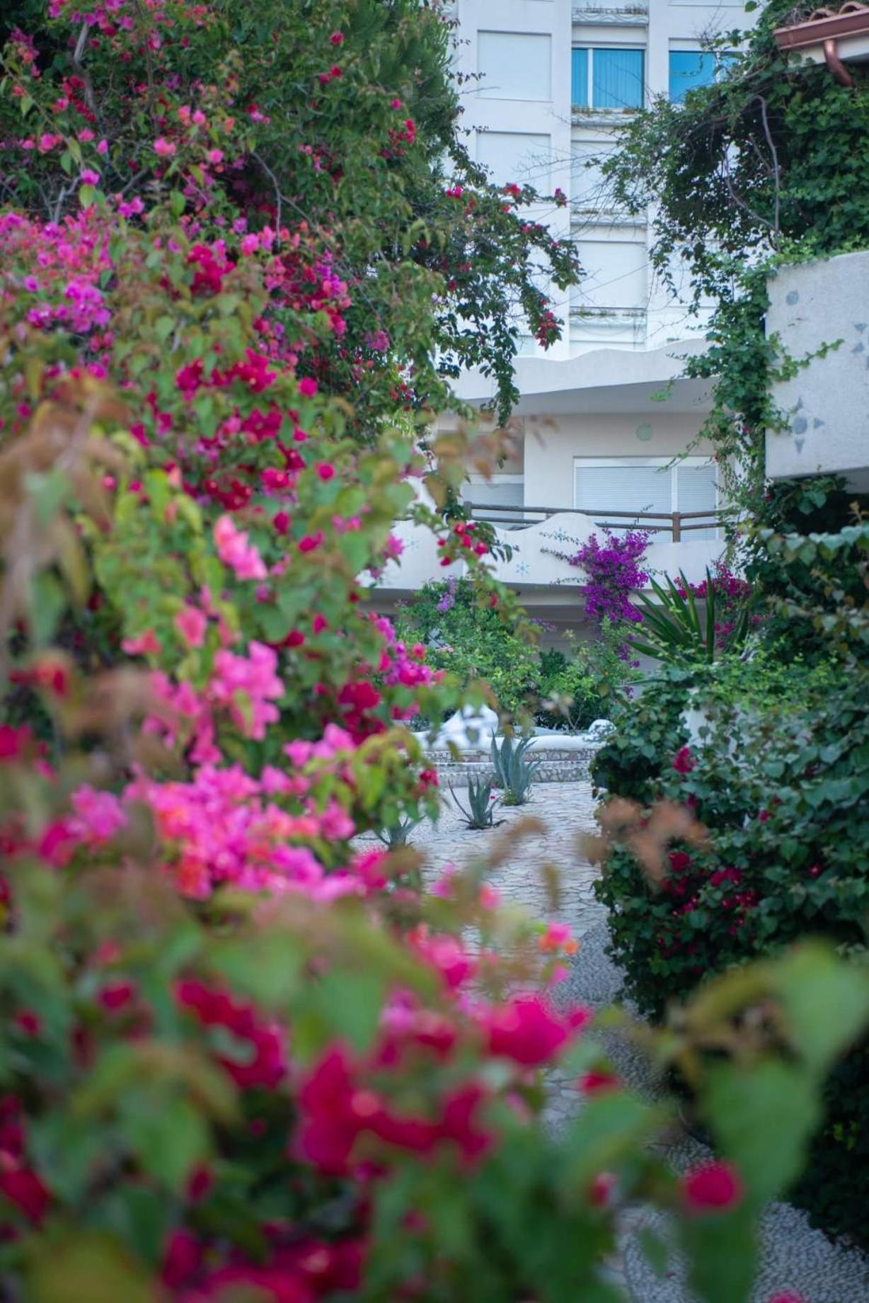 Bougainvill Sunset Villa