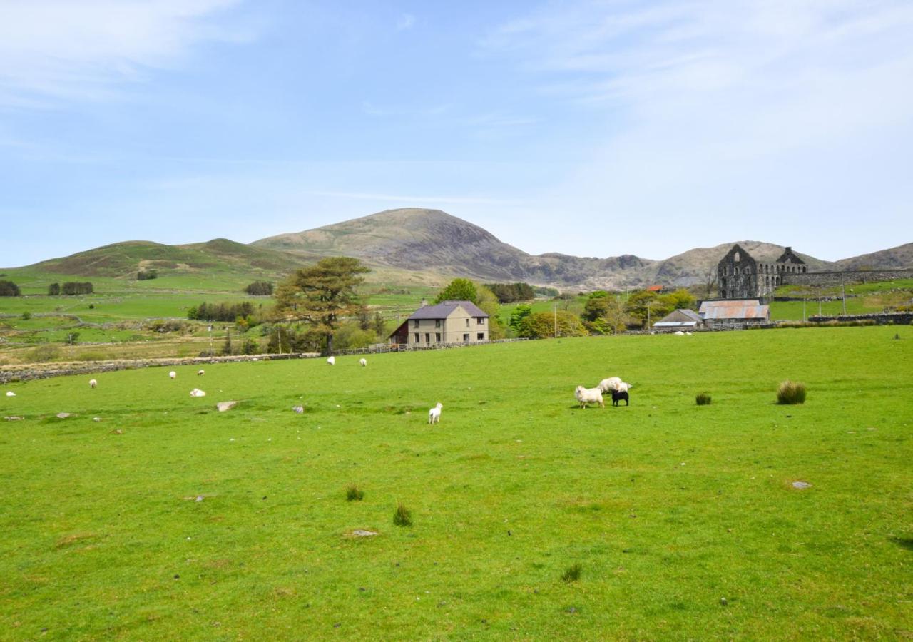 Bryn Ystrad Llyn view 4
