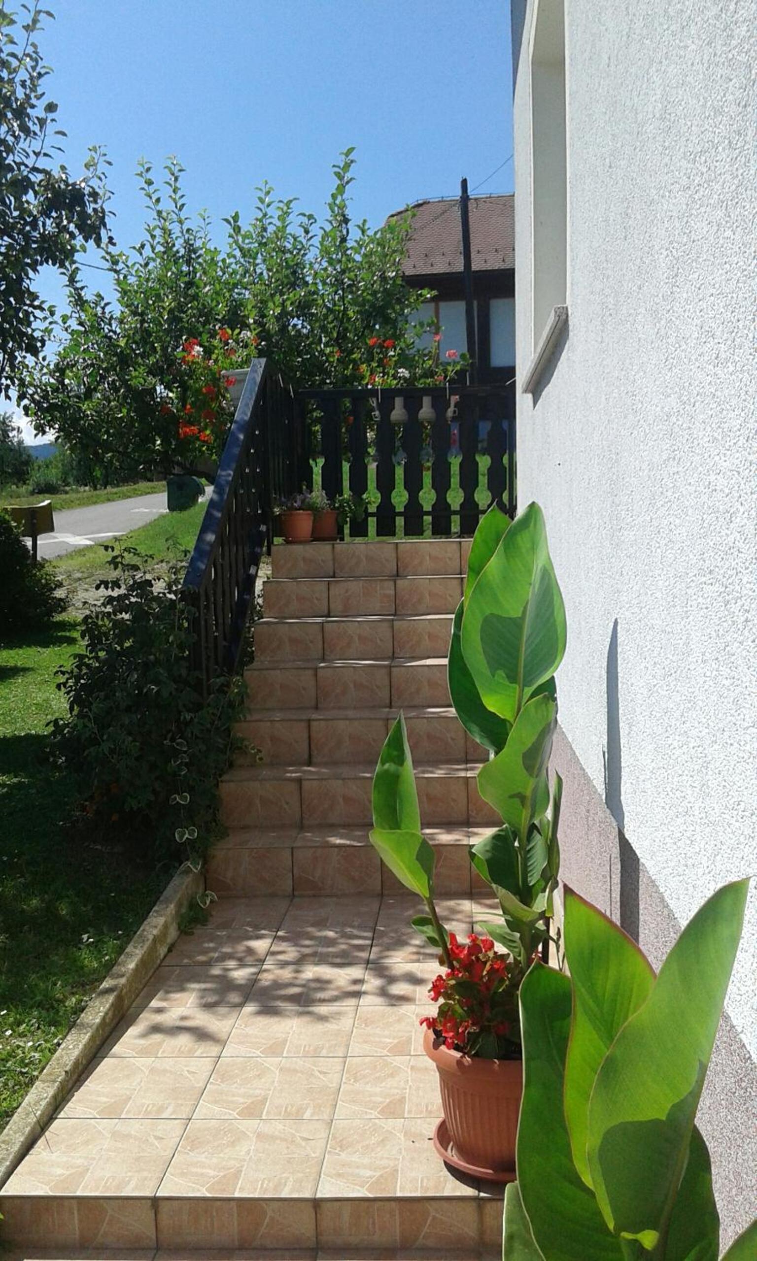 Photo 24