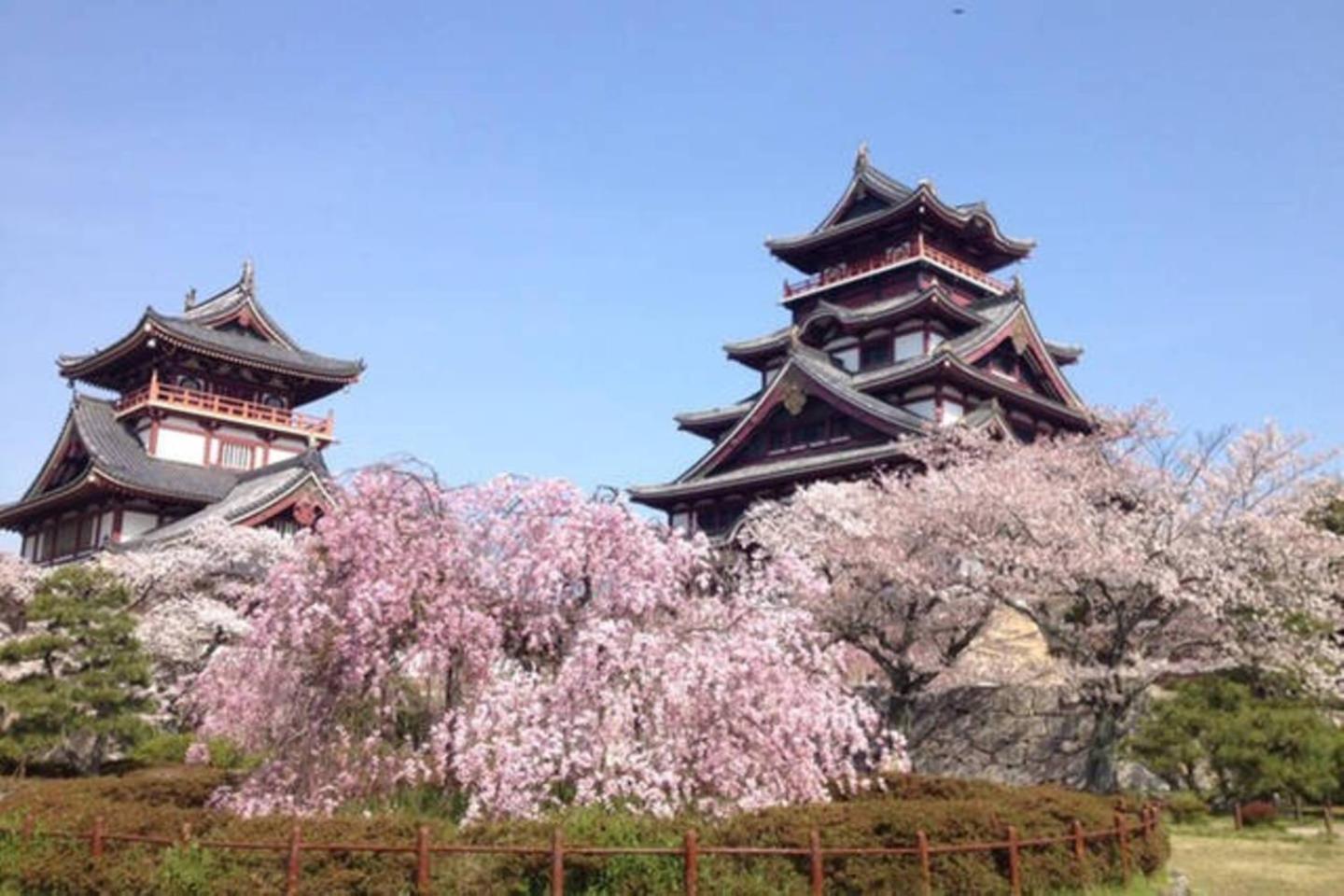 Photo 41