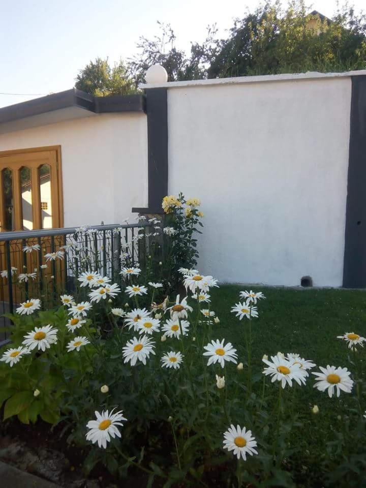 Holiday Home Nana