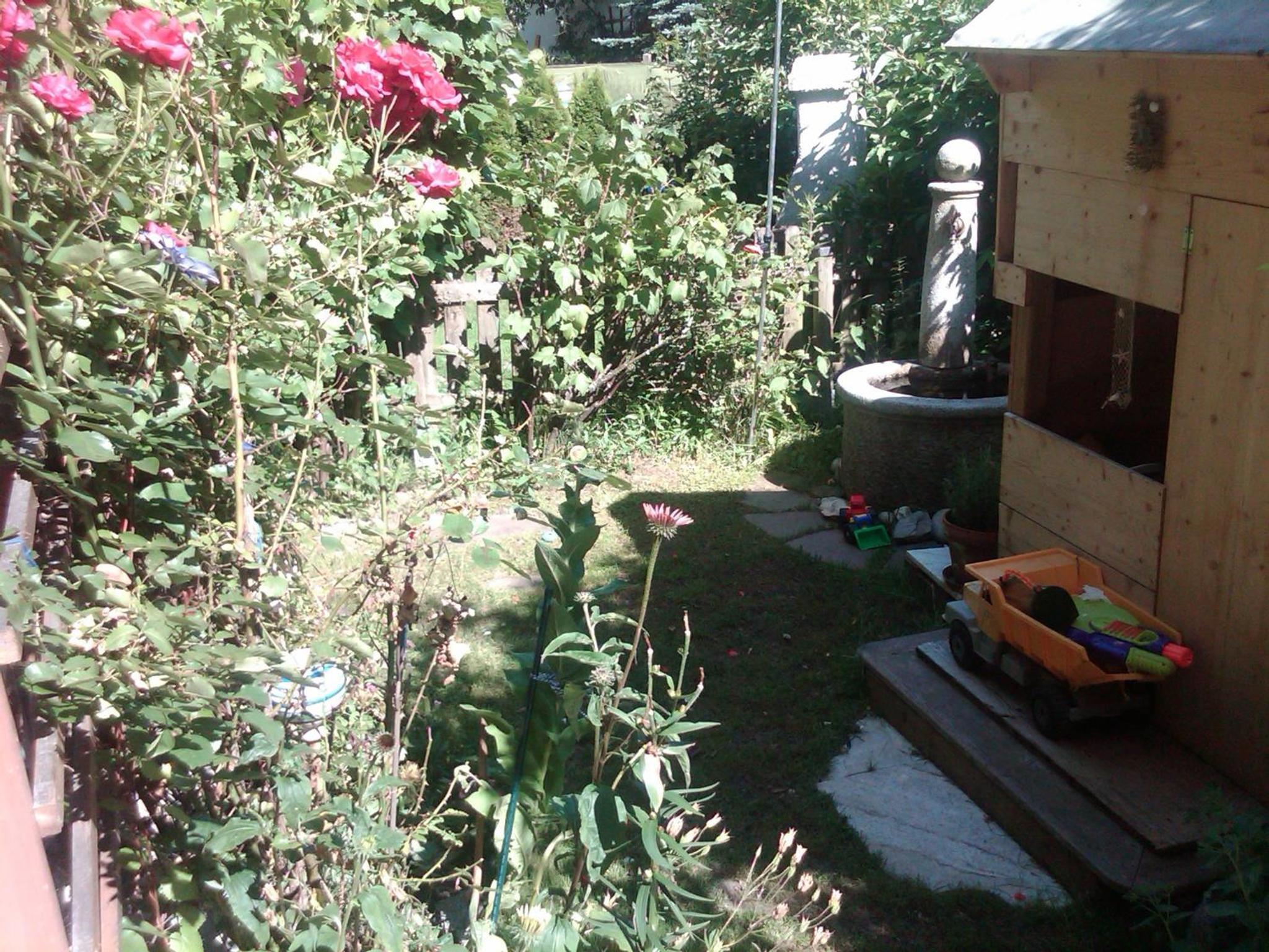 Photo 29