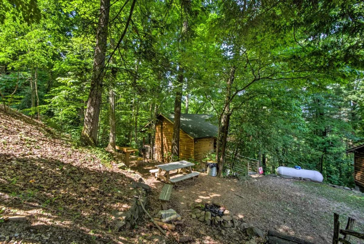 Nantahala Cabins
