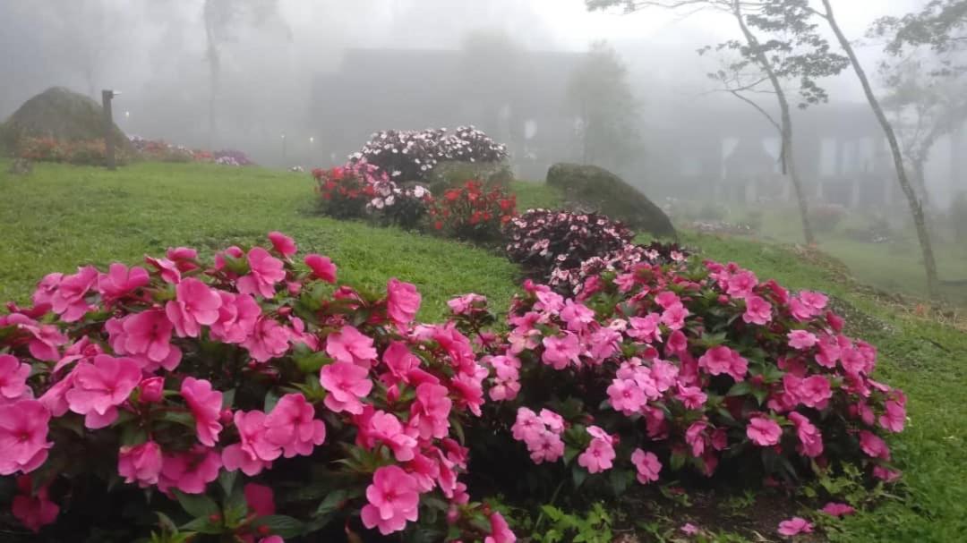 Spring Garden