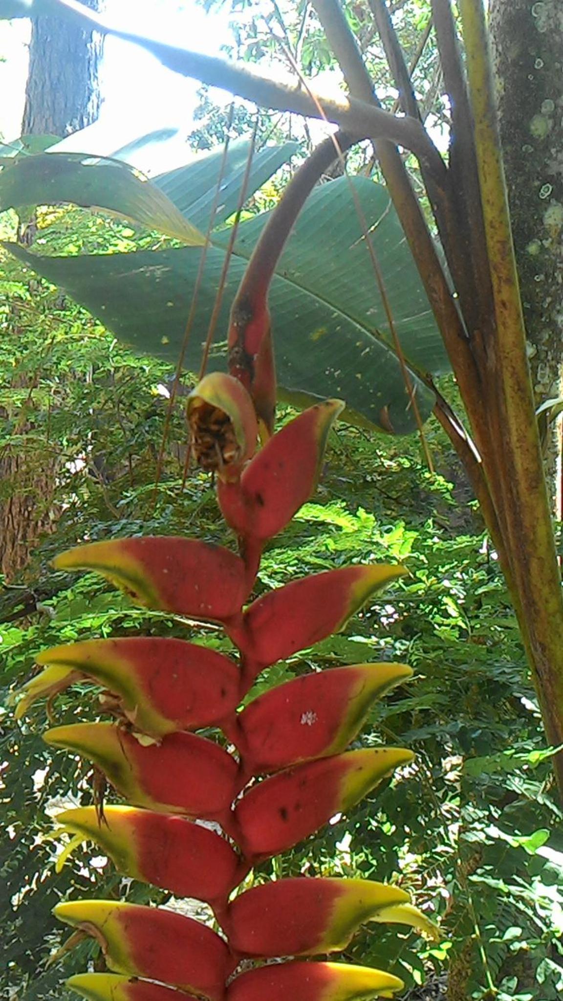 Chalé Rancho Aratama