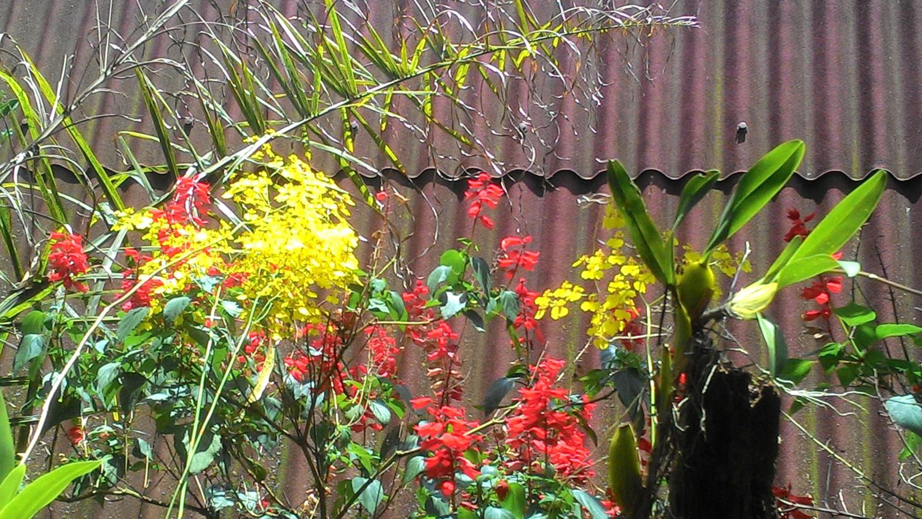 Chalé Rancho Aratama
